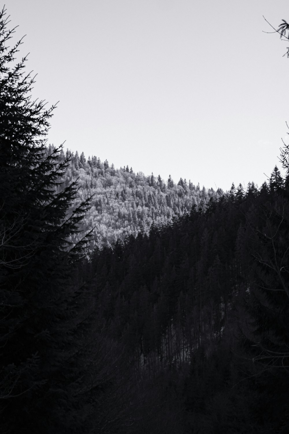 a black and white photo of a snowy mountain