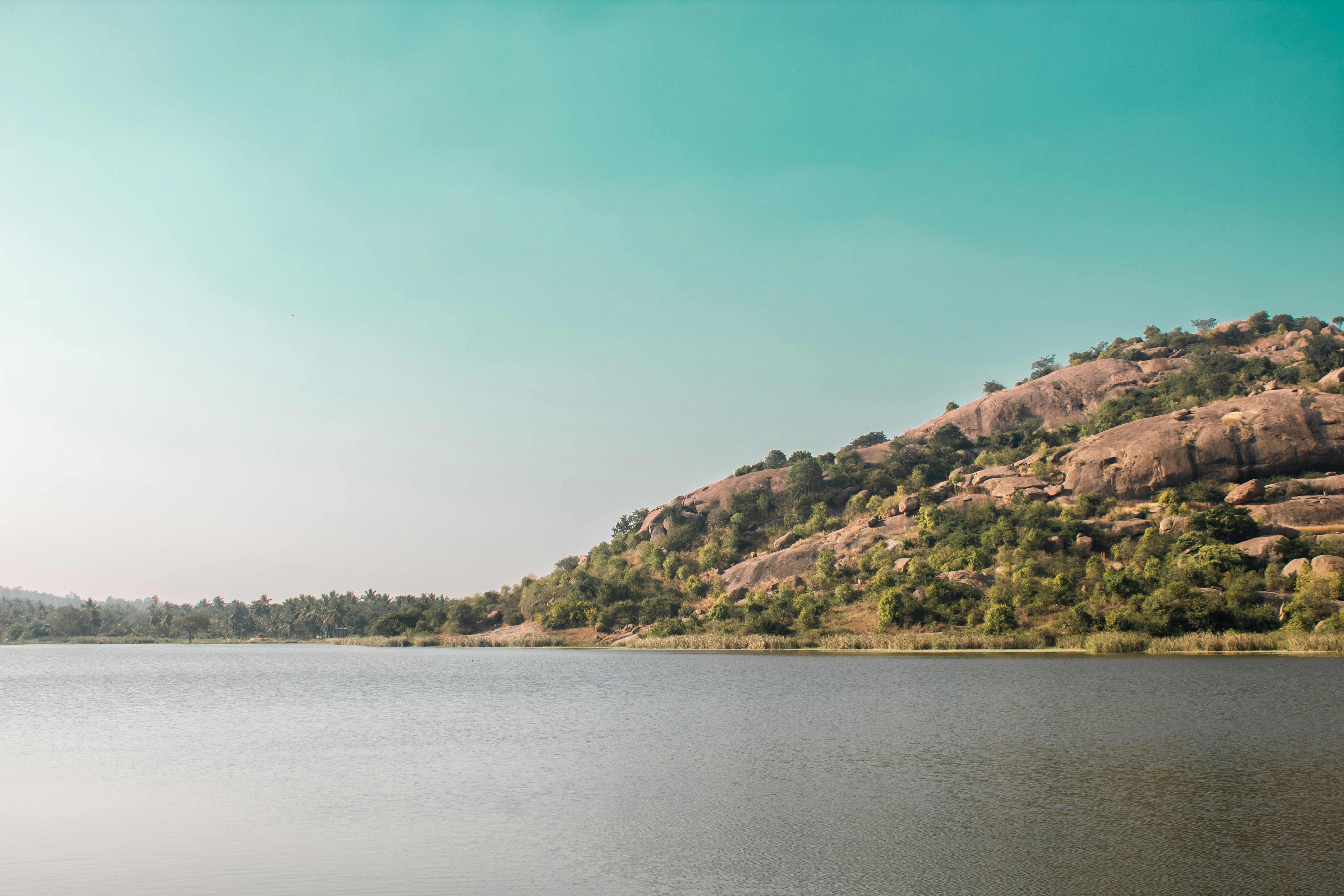 Photo by nandanrmenon