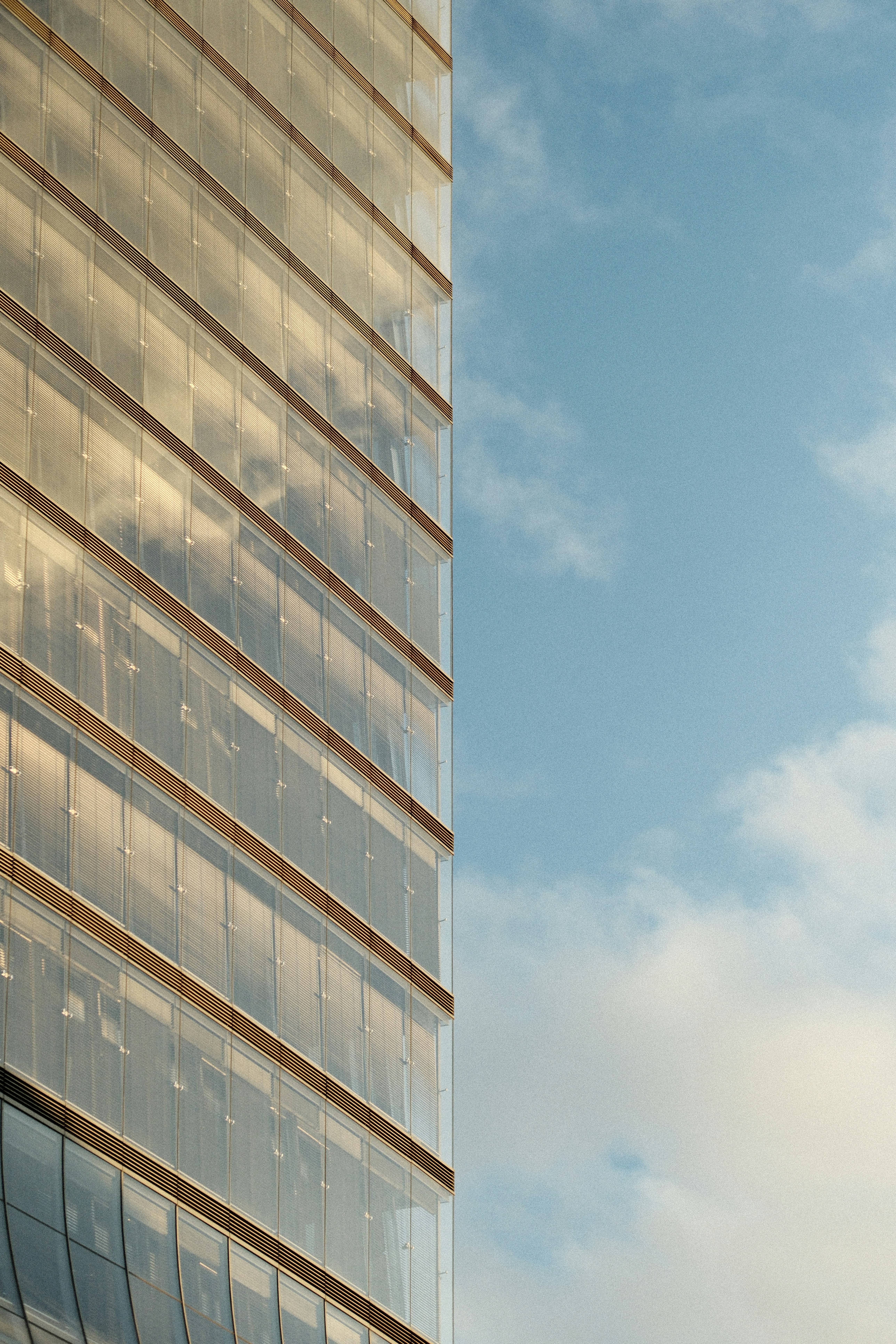 Photo by studiopizza