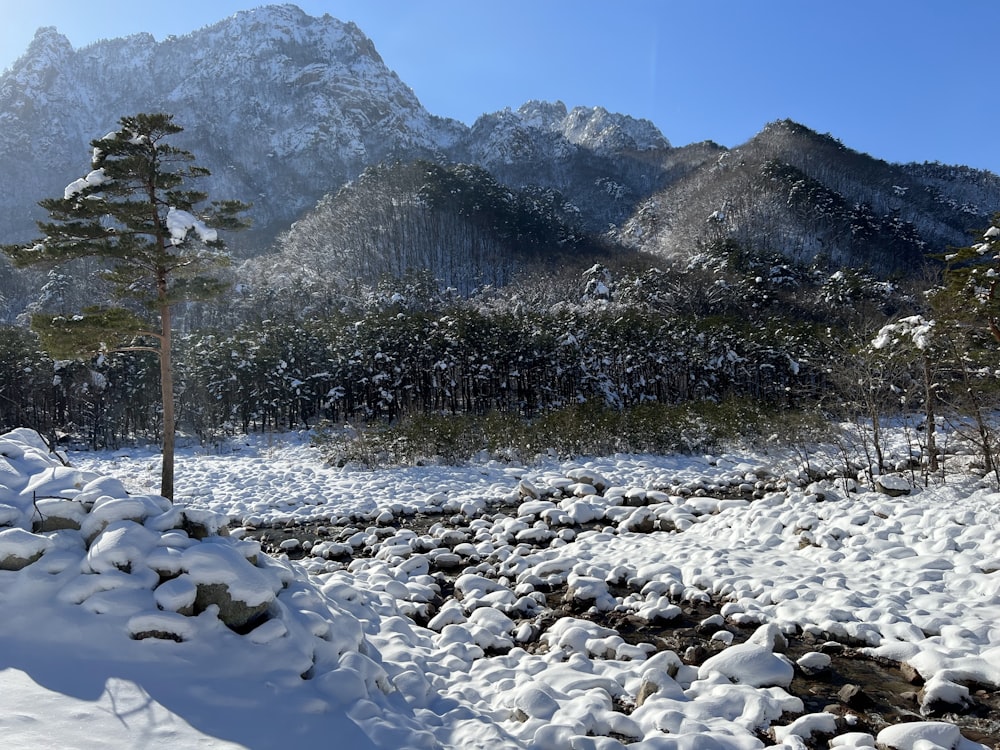 a snow covered field with mountains in the background