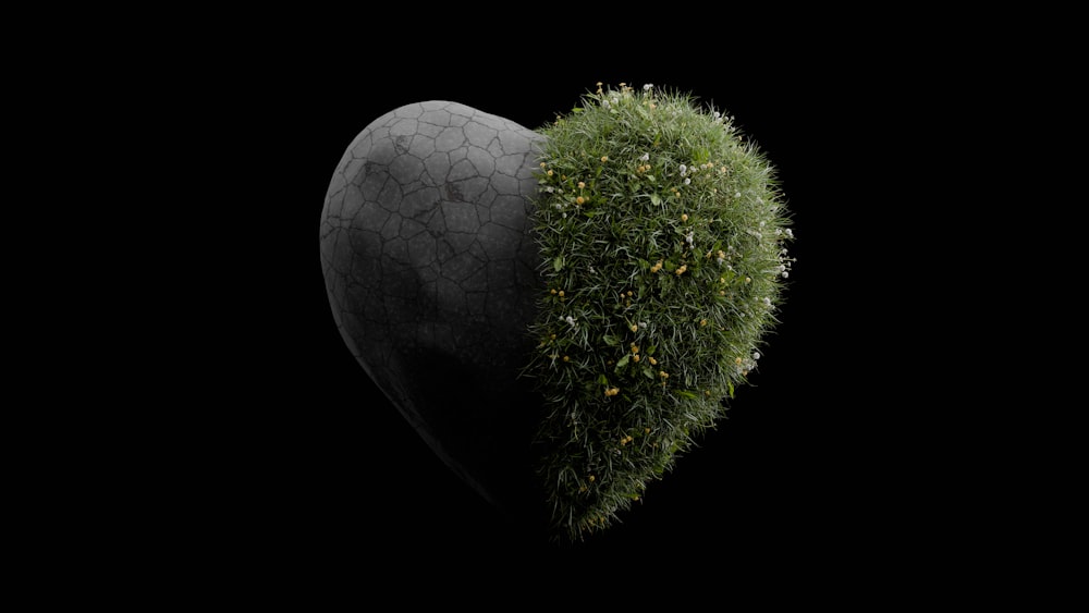 a heart shaped object with a plant growing out of it