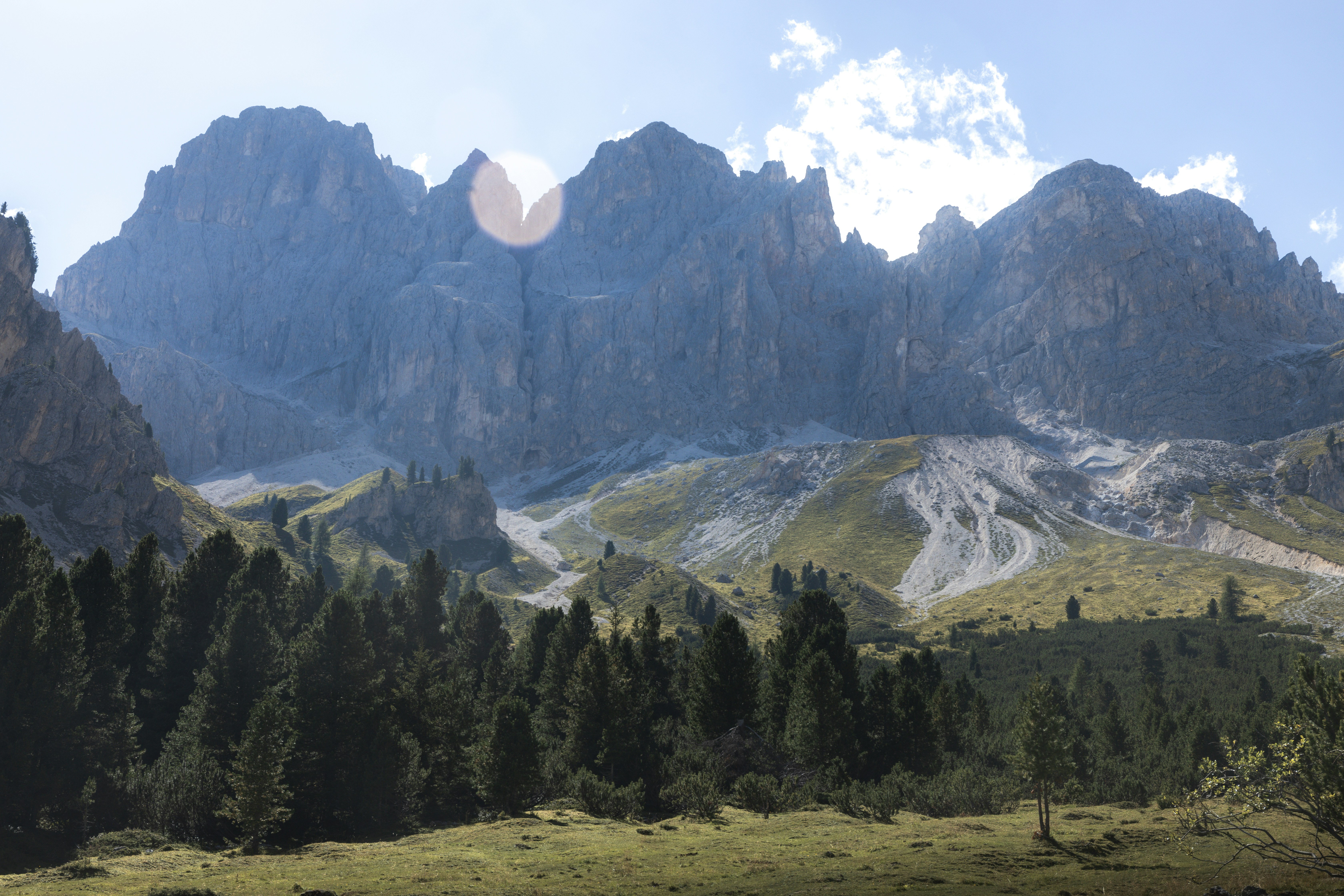 a mountain range with trees in the foreground