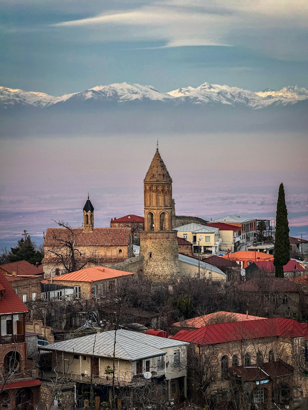 a view of a city with a mountain in the background