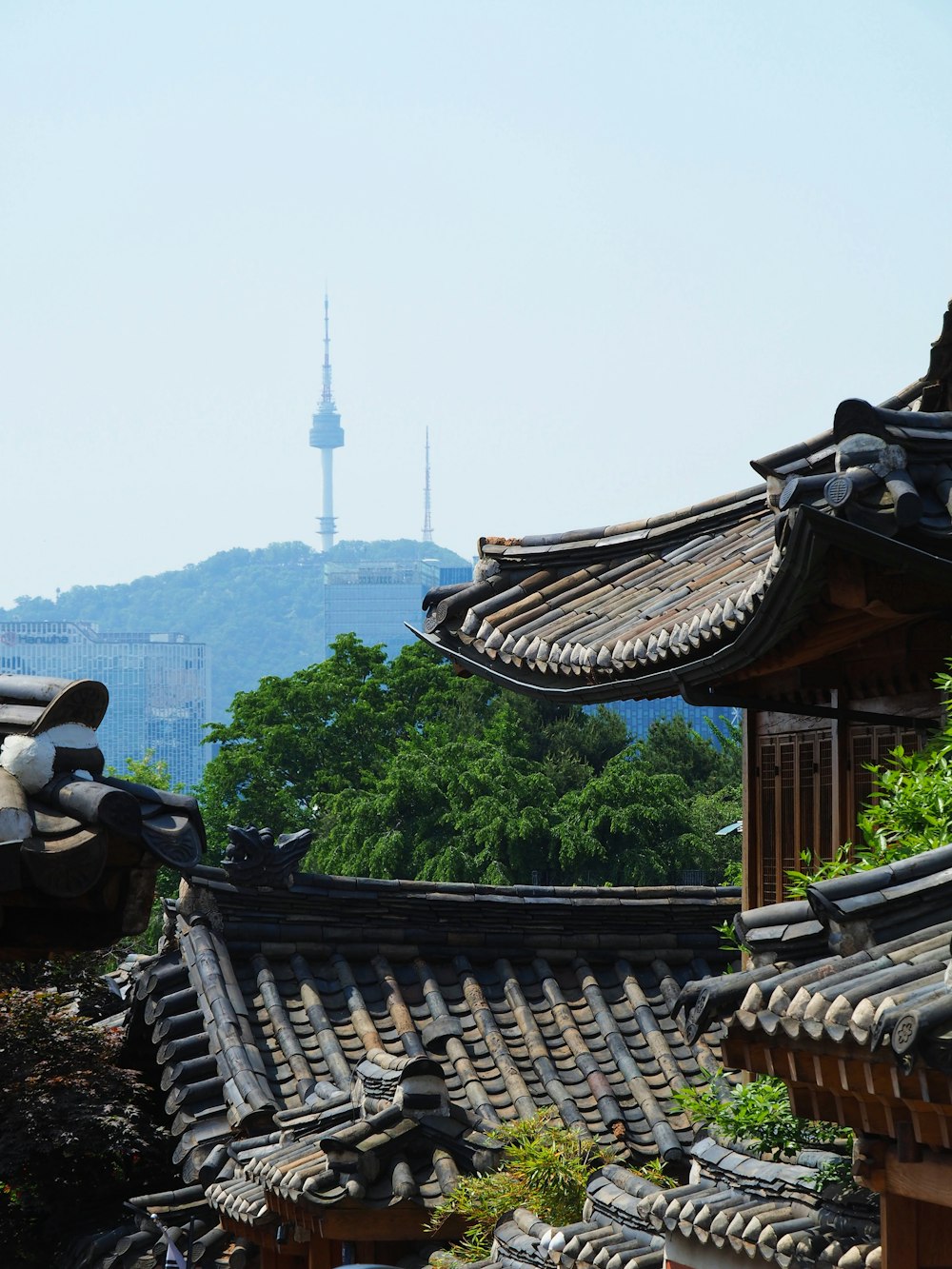 the roof tops of a building with a mountain in the background