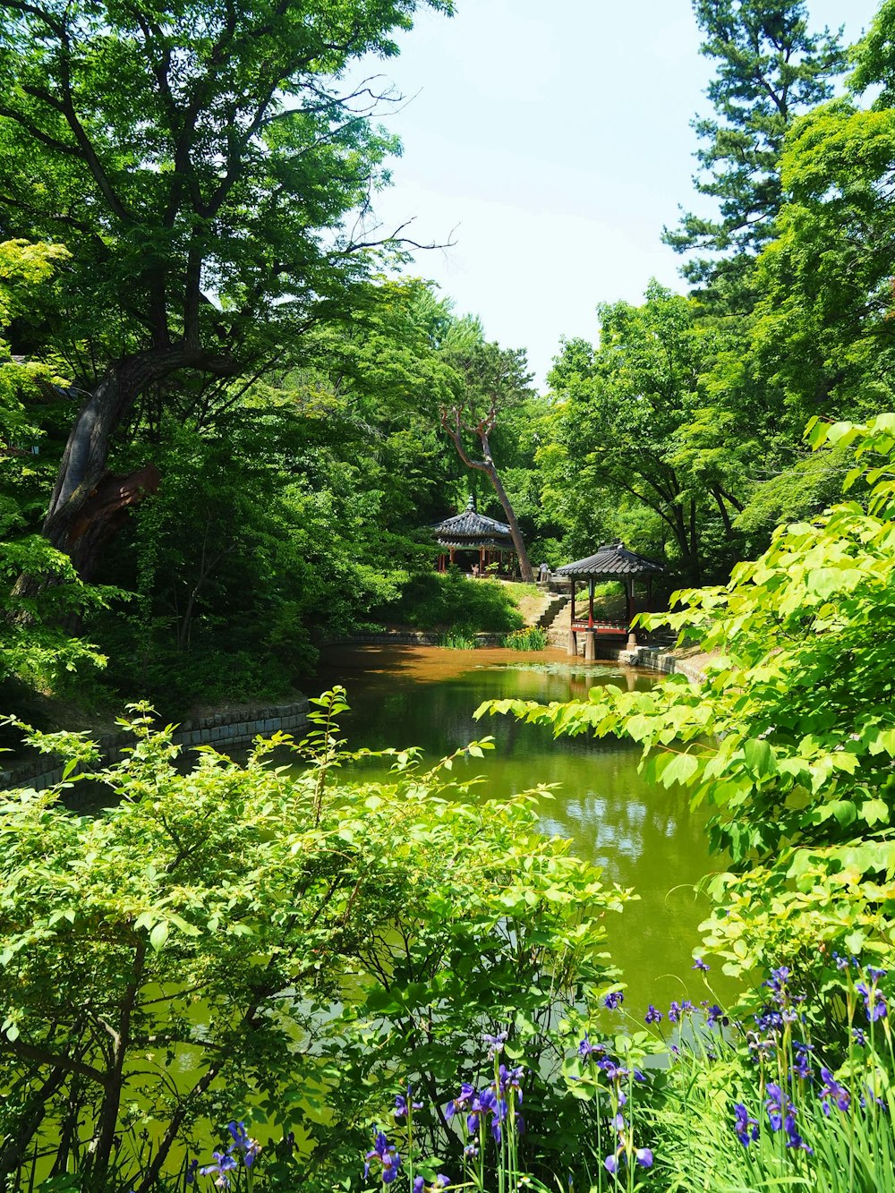 a pond surrounded by lush green trees and purple flowers