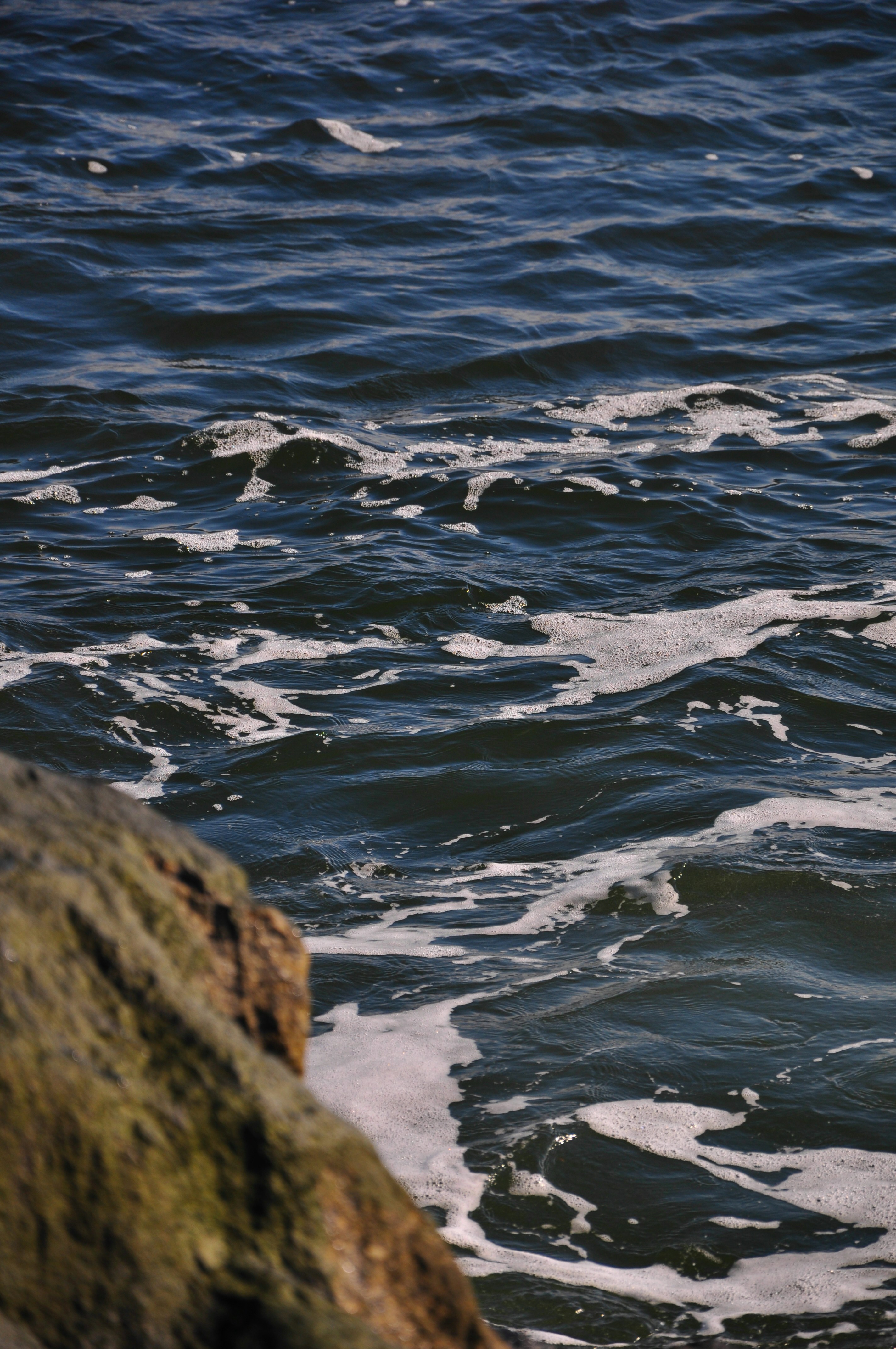 Photo by litli_hrafn