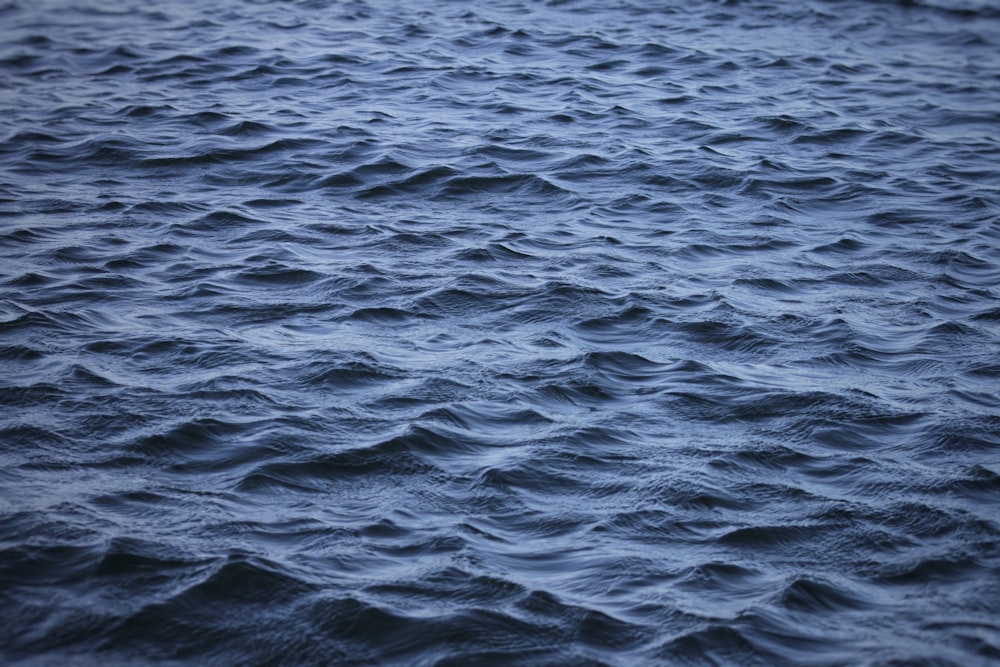 a large body of water with waves on it