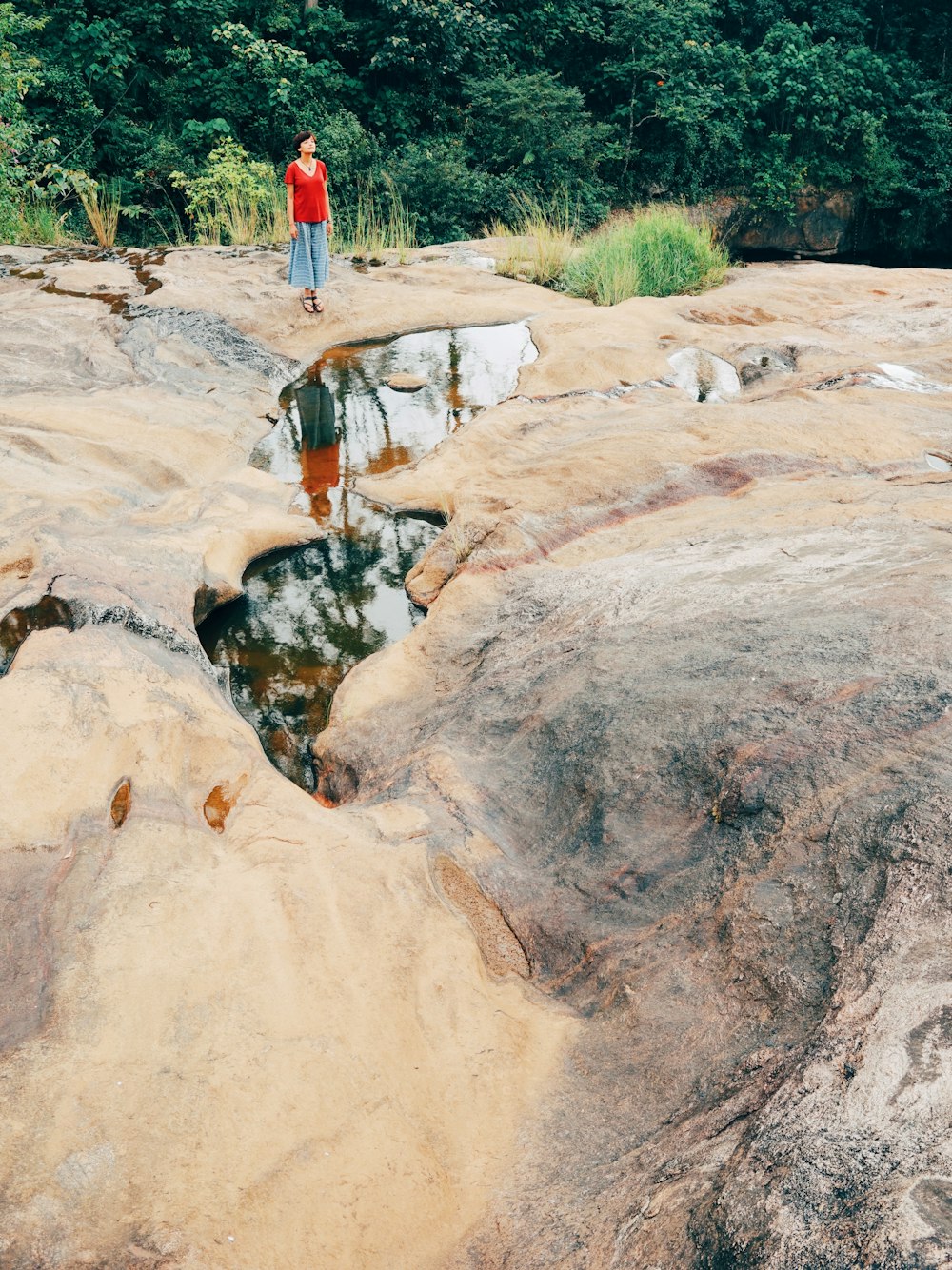 a man standing on top of a large rock next to a forest