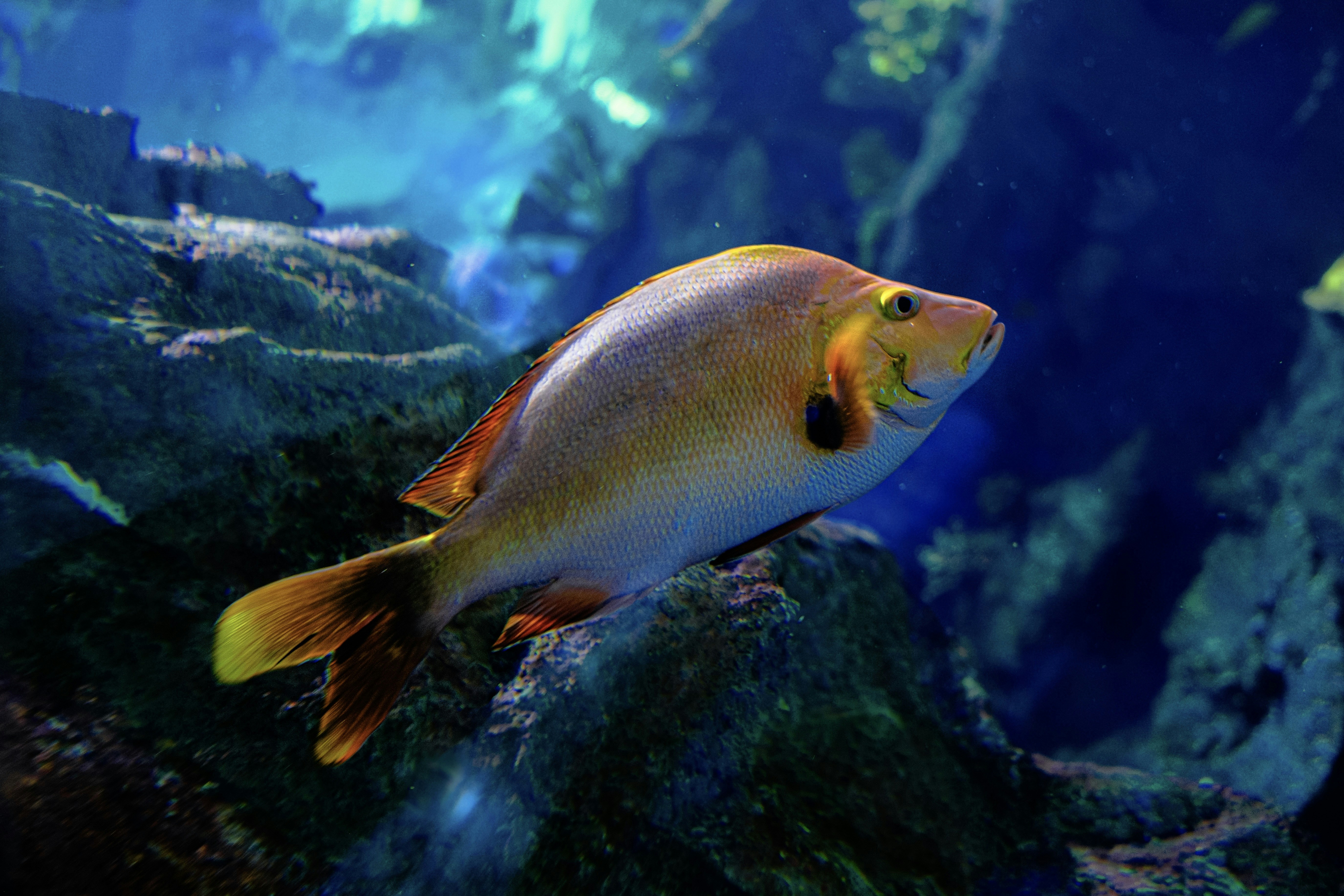 Photo by mrparalloid