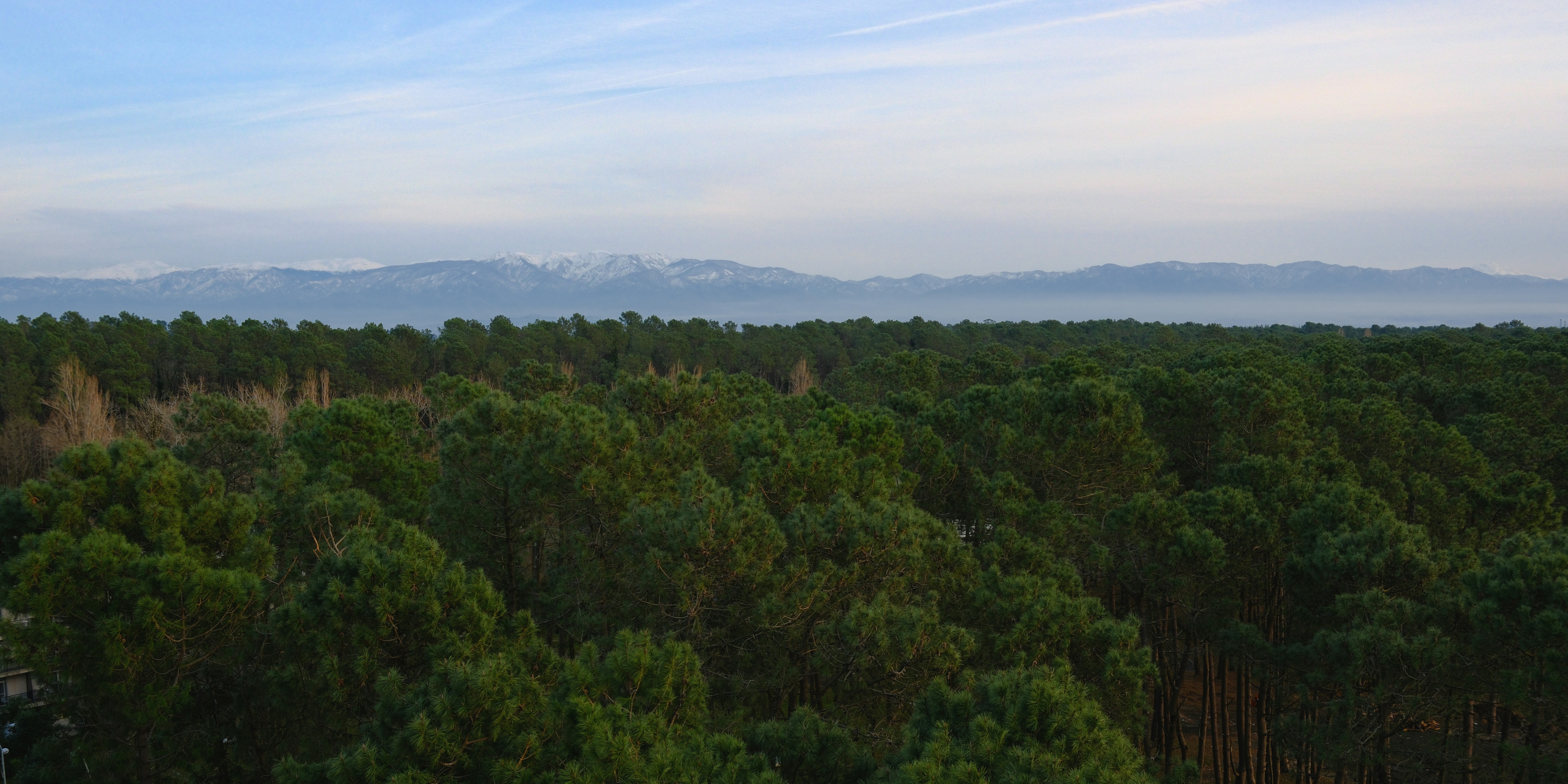 Sabaduri Forest destination transfer in Georgia