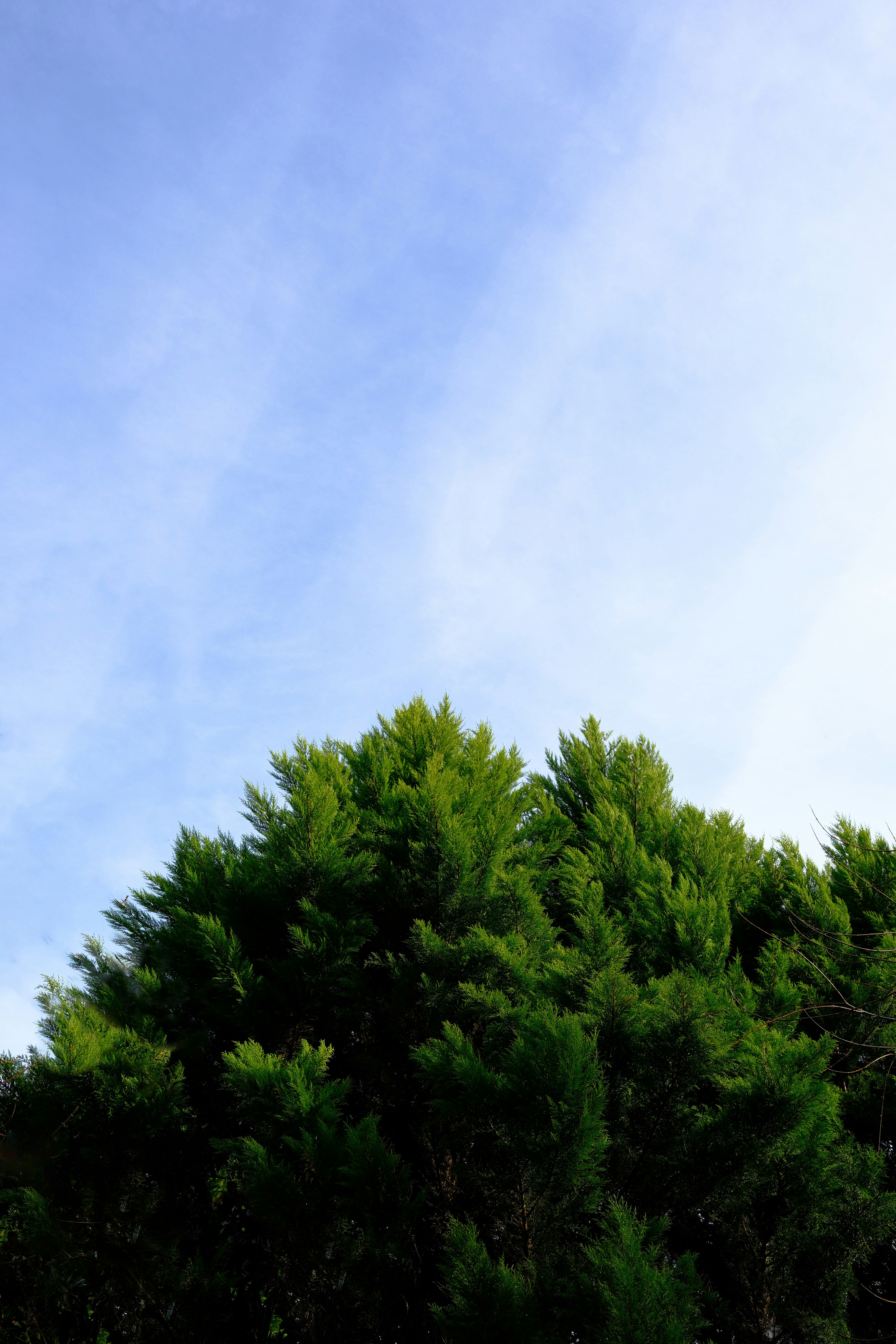 Photo by mrparalloid