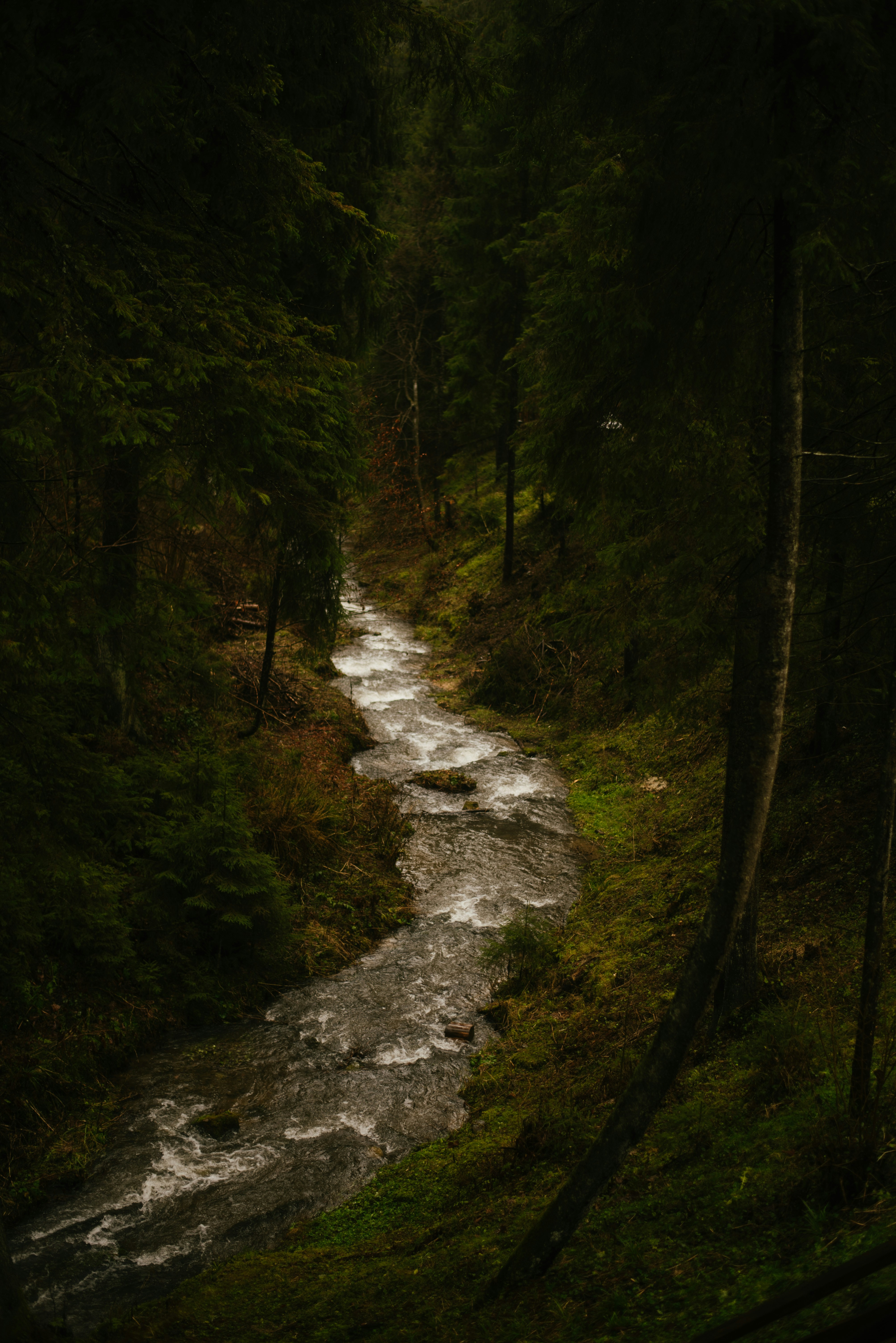 Photo by krykhitka_photo