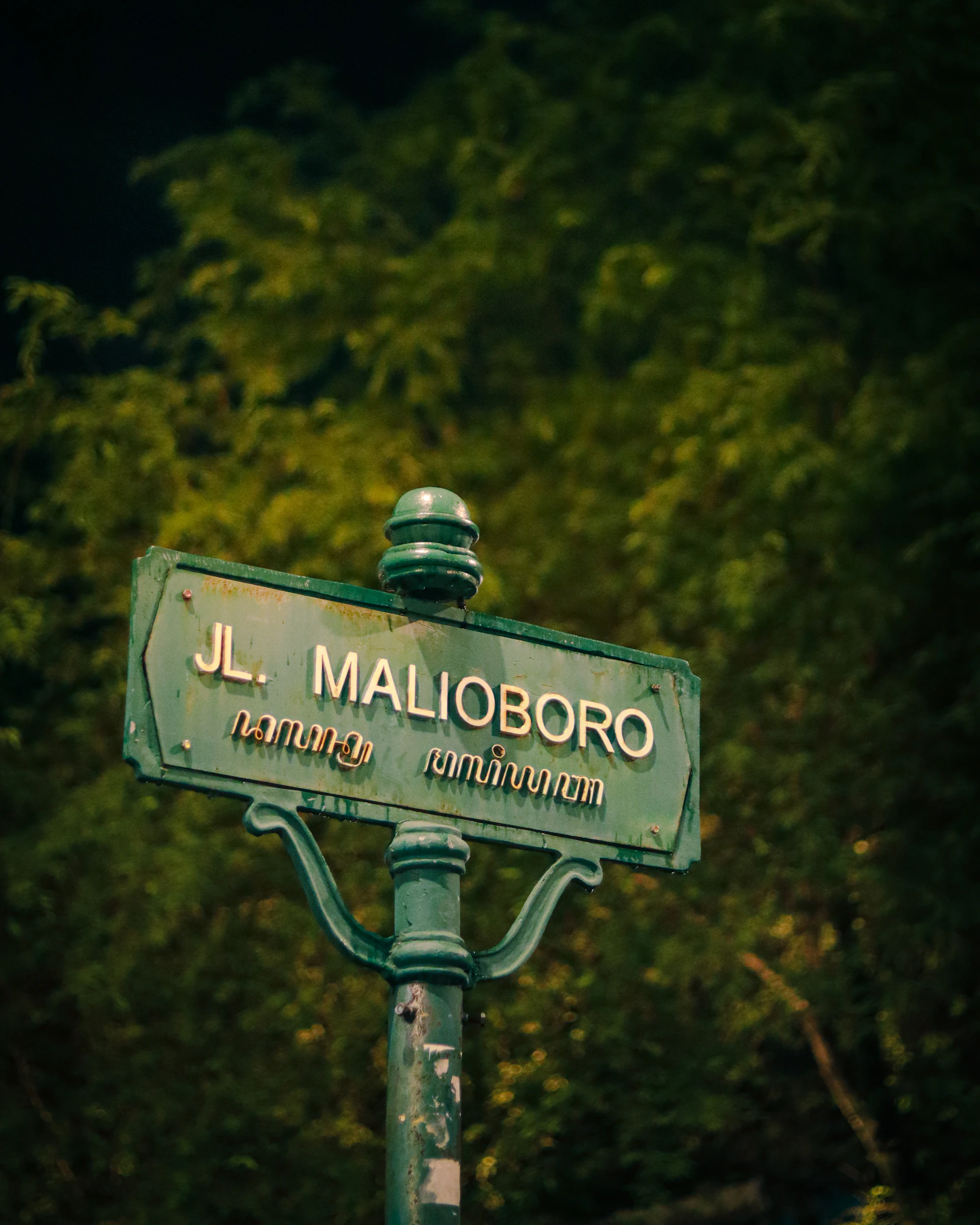 a green street sign with trees in the background