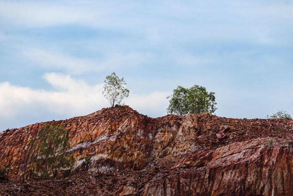 a large pile of dirt with trees on top of it