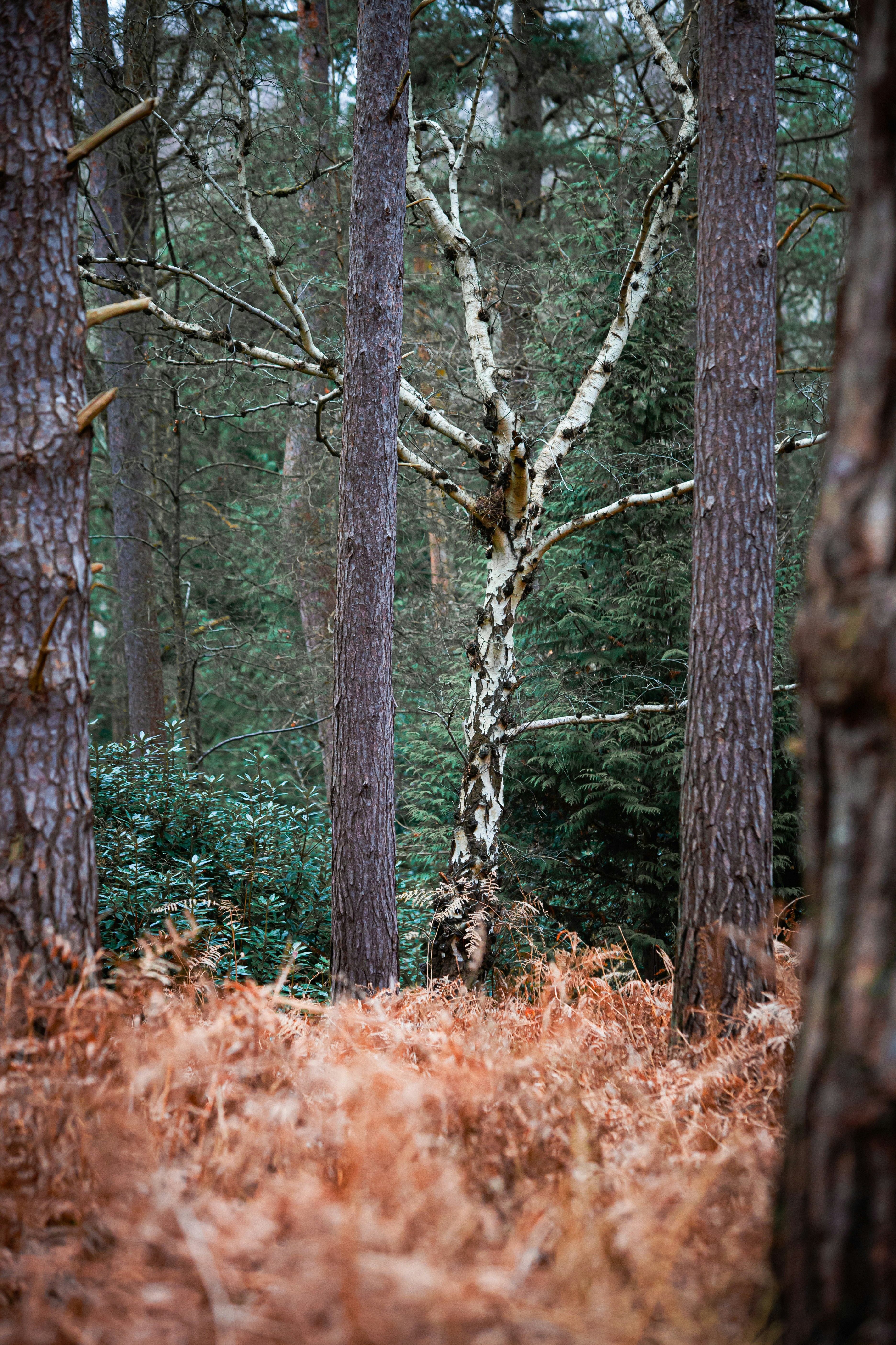 Photo by will__wright