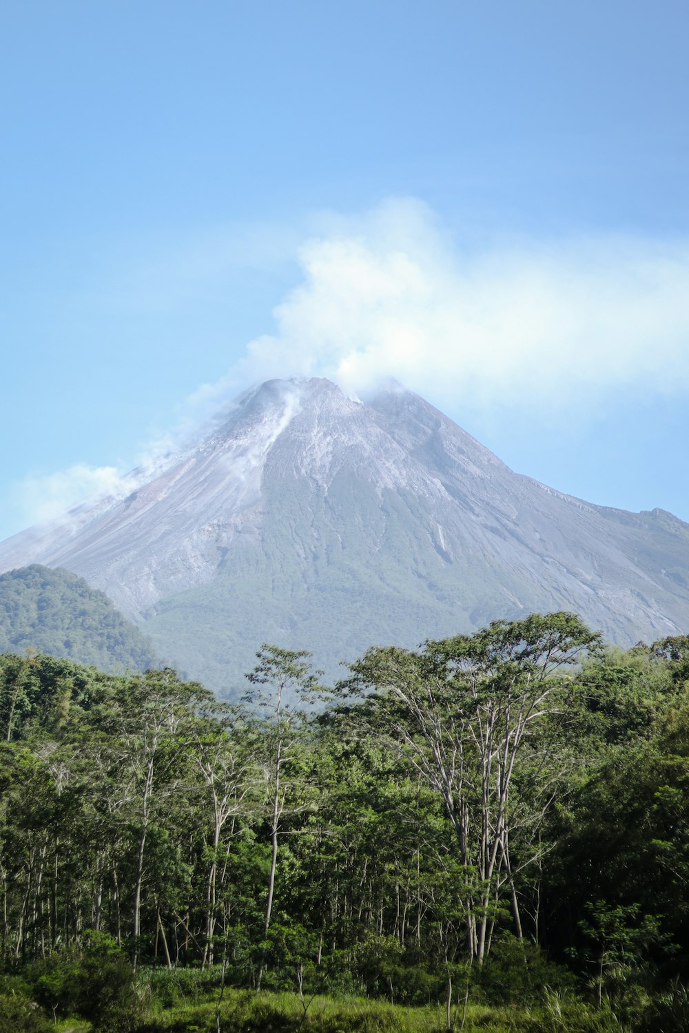 a very tall mountain towering over a lush green forest