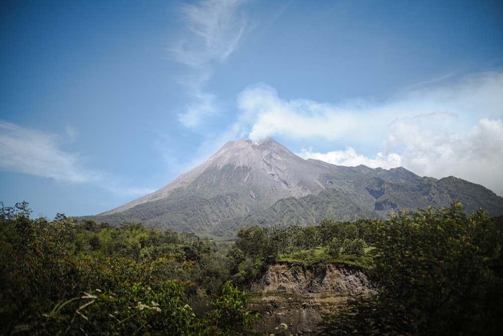 Una vista de una montaña con árboles en primer plano