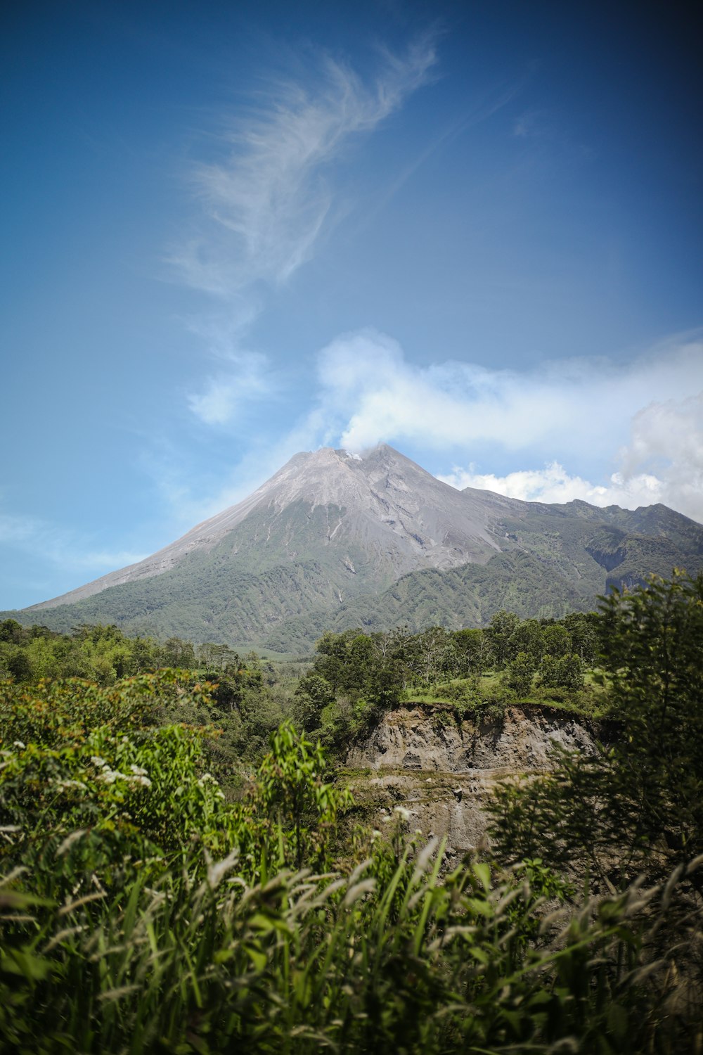 a view of a mountain from a grassy area