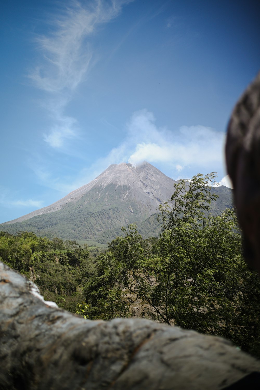 a person looking at a mountain in the distance