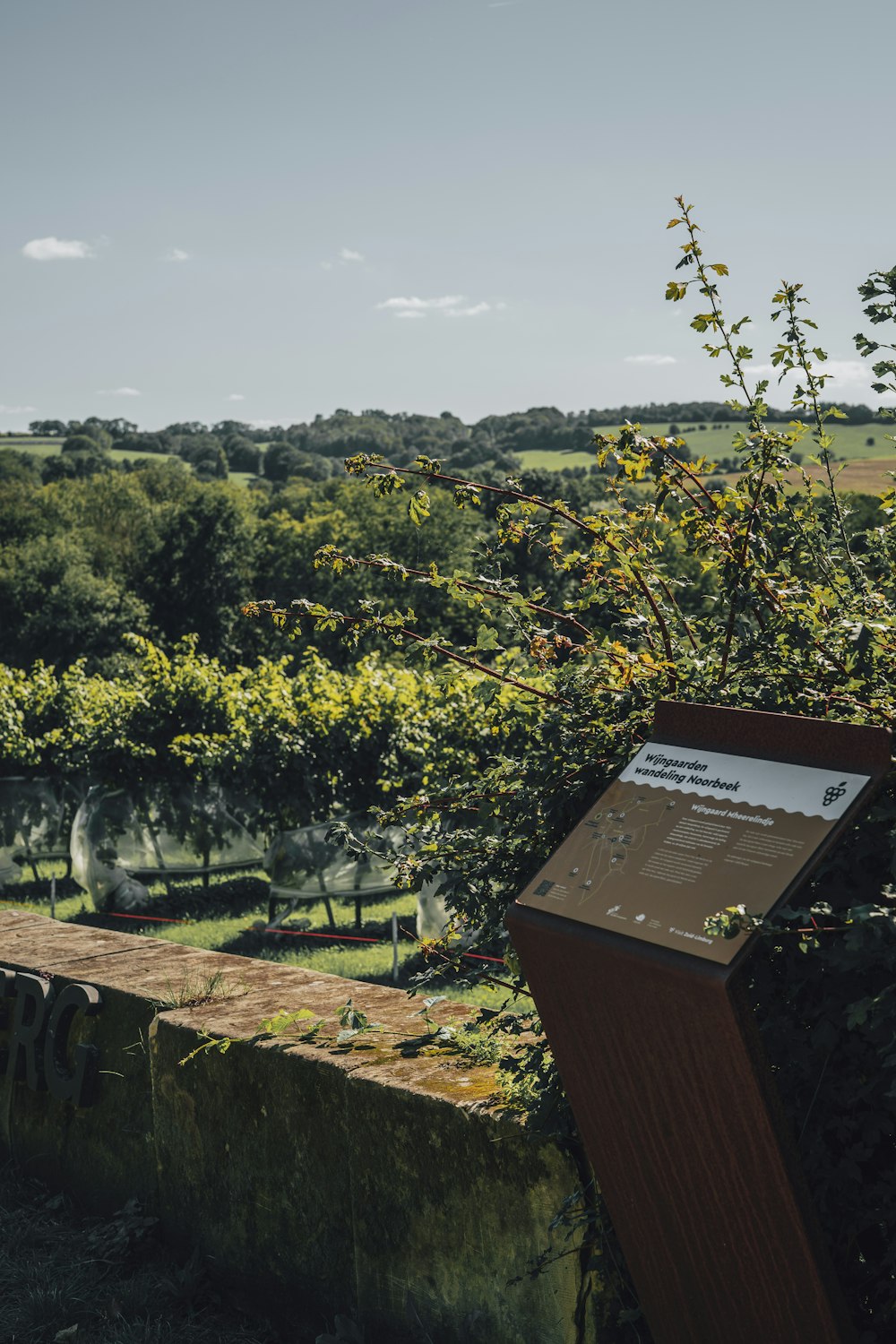 a wooden podium sitting in the middle of a lush green field