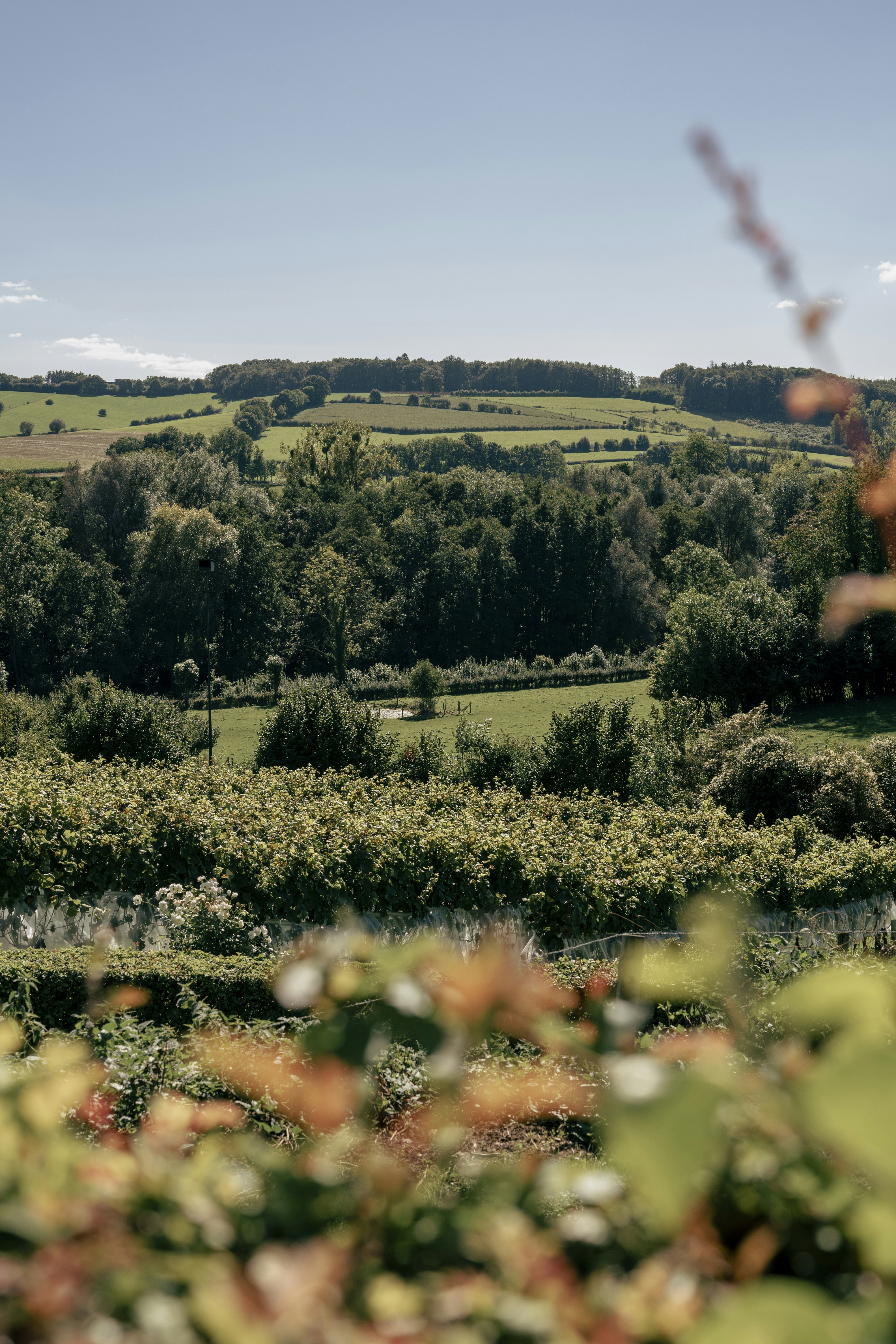 Wine tours: Οι καλύτεροι οινικοί προορισμοί της Ευρώπης για το 2025 - εικόνα 1