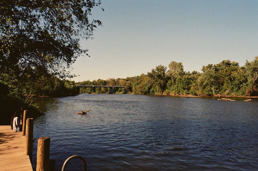 a person in a boat on a river