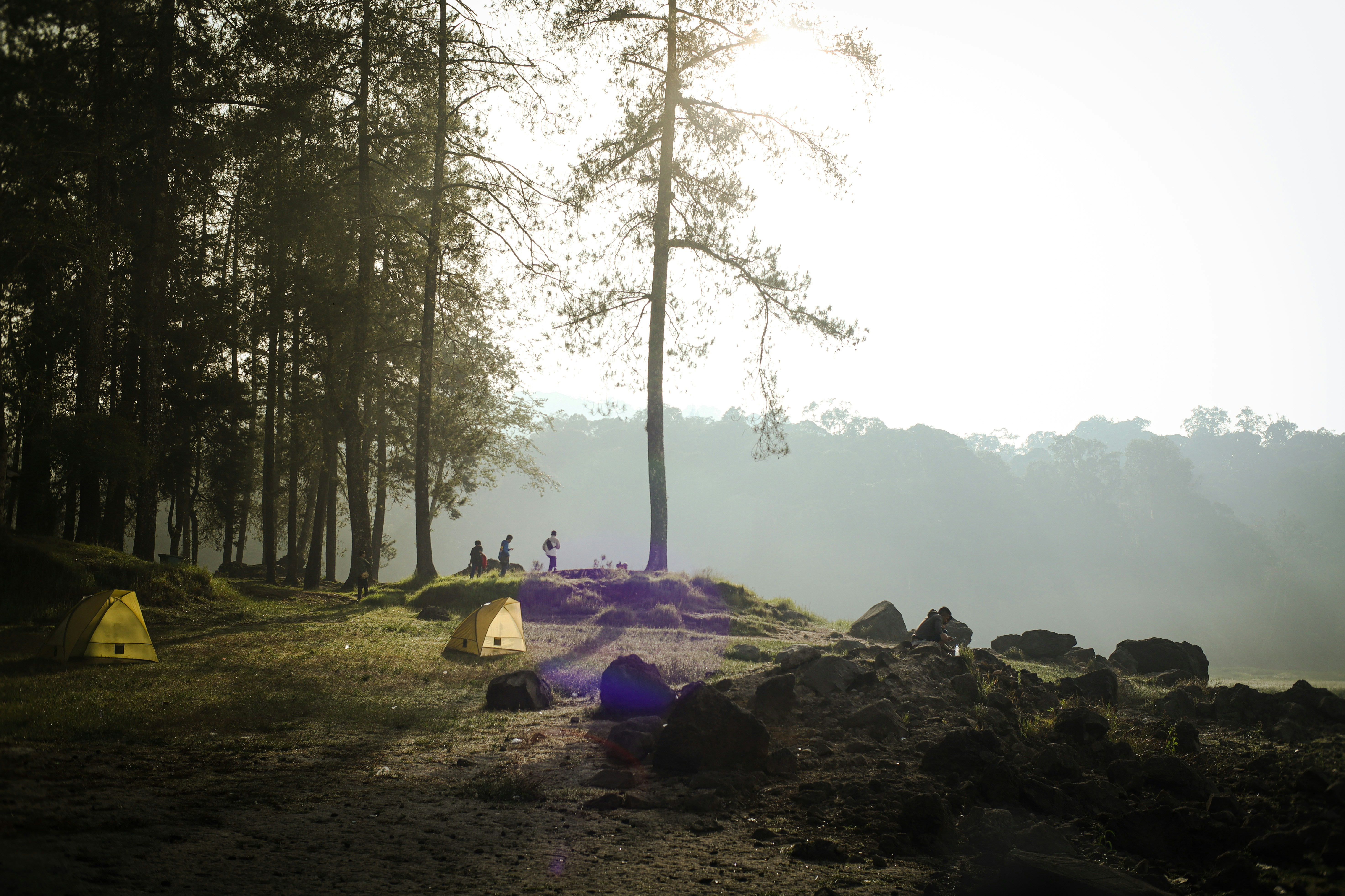 sekelompok tenda didirikan di hutan