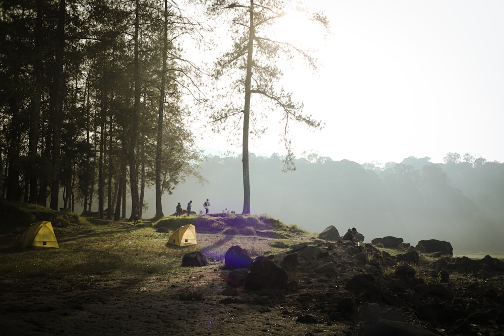 a group of tents set up in the woods