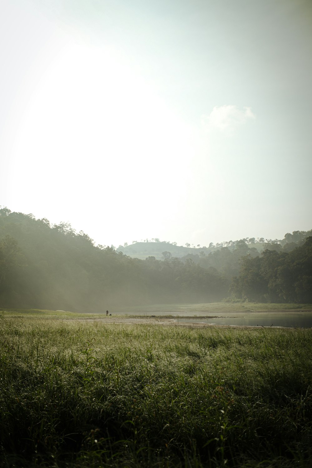 a large open field with trees in the background