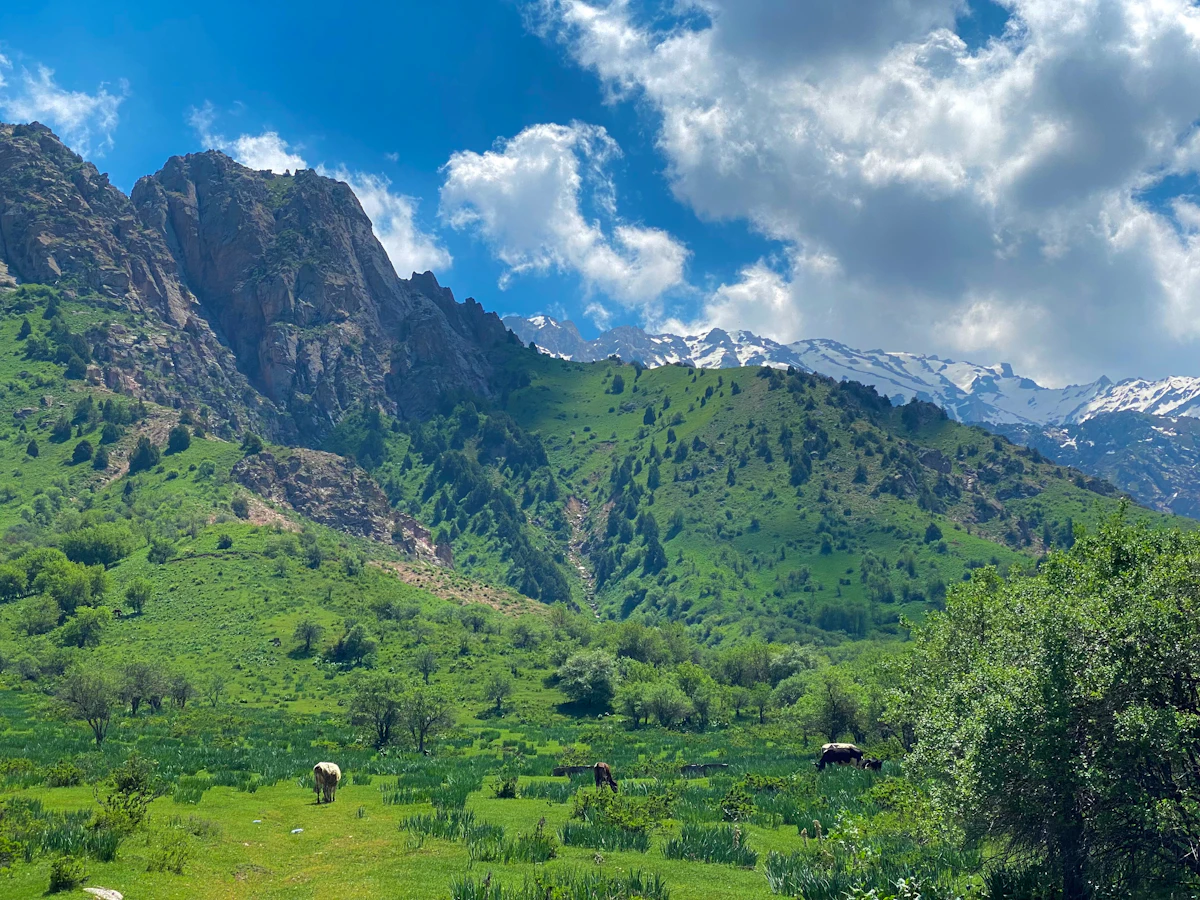 Chimgan Mountains near Tashkent, Uzbekistan