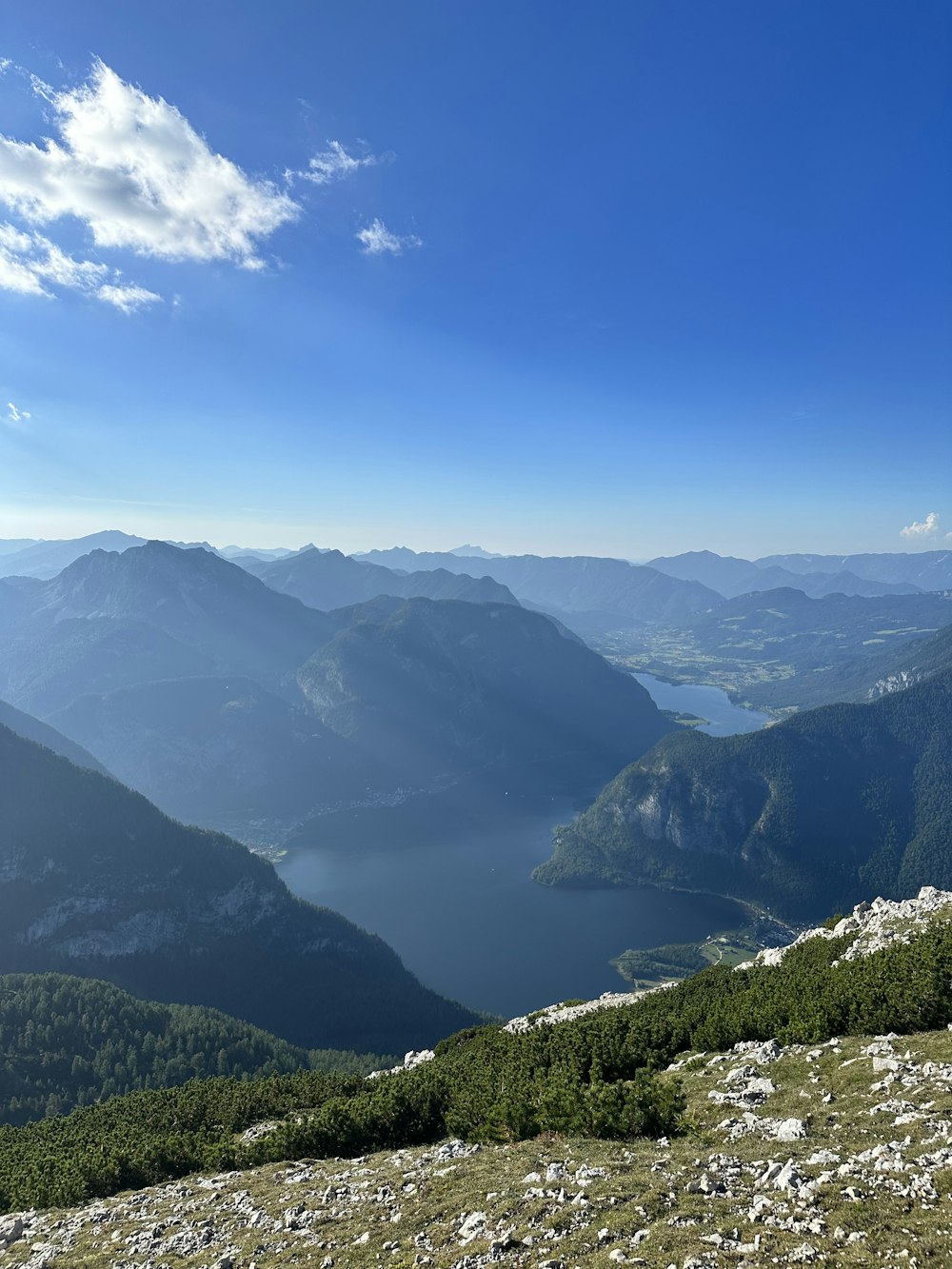 a man sitting on top of a lush green hillside