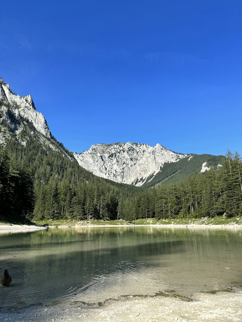 a body of water surrounded by mountains and trees