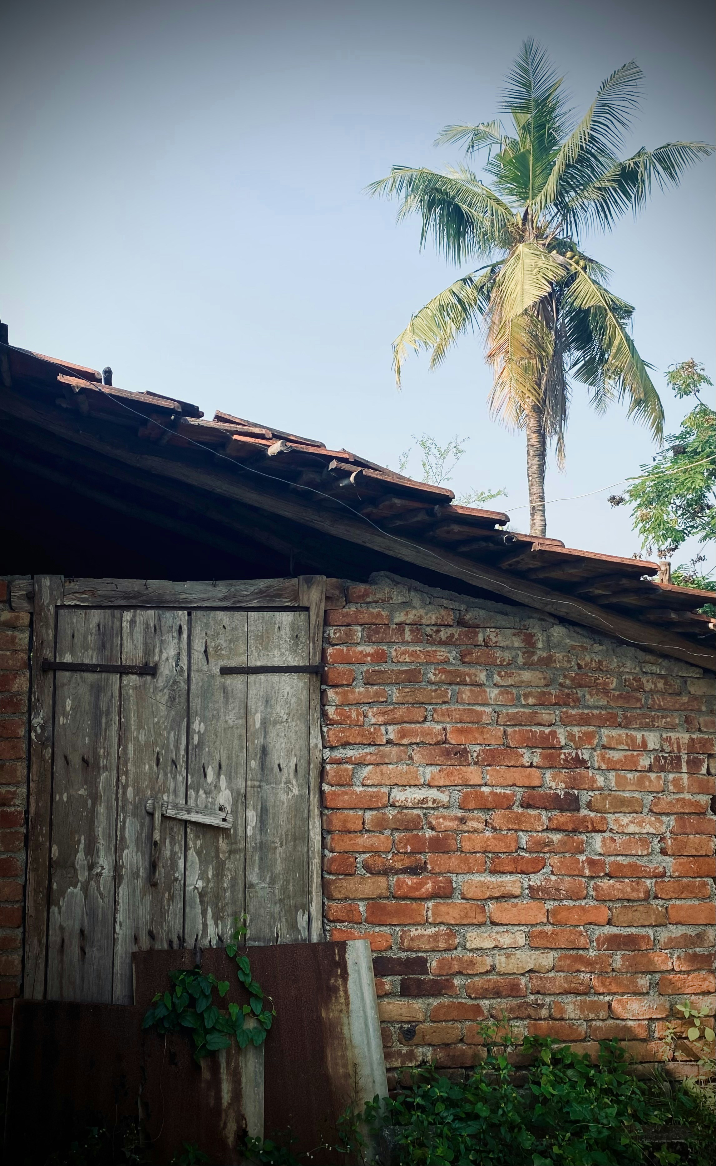 Photo by vishalpatel_97