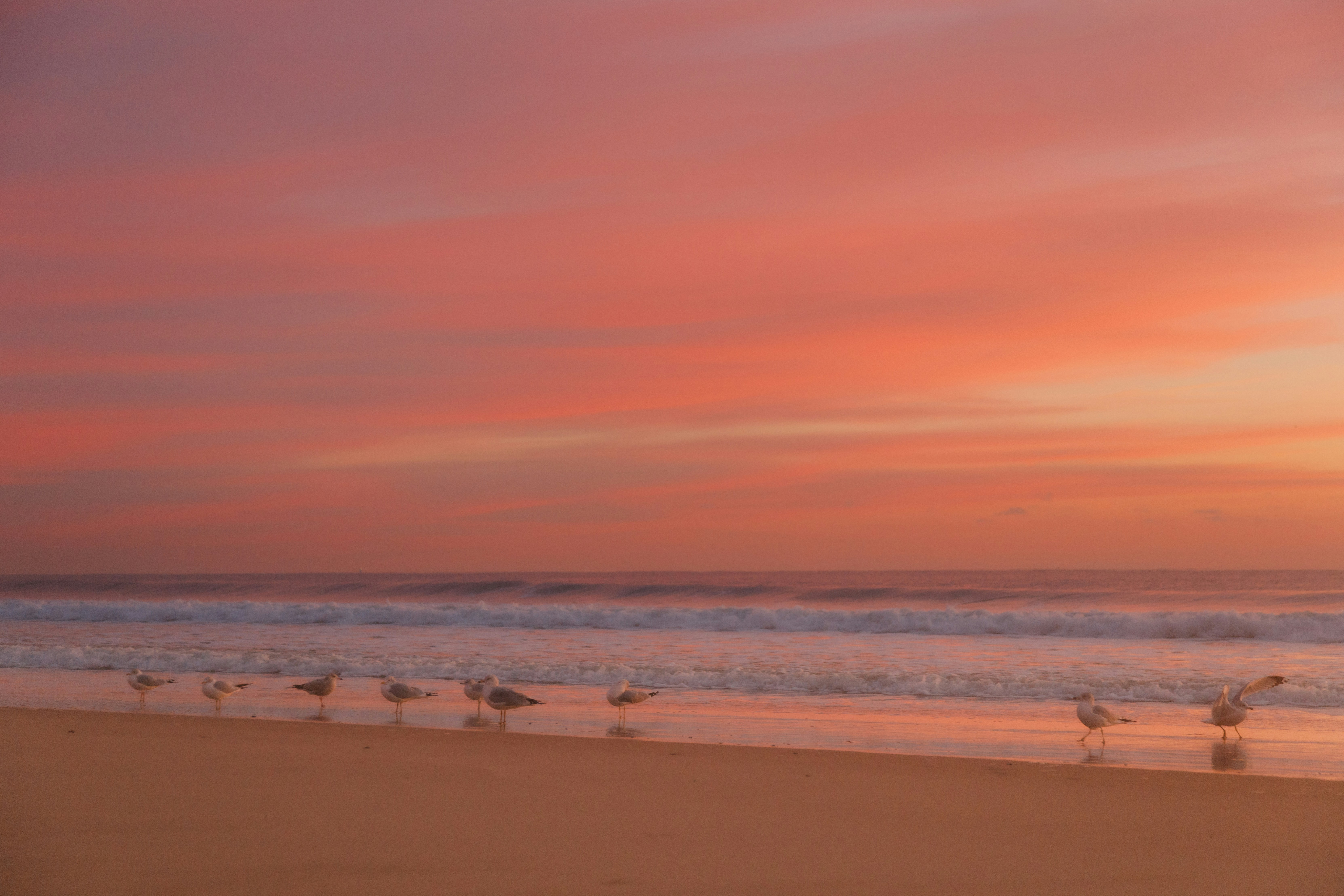 Weekend SCOOP: In with the Tide