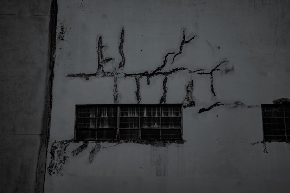 a wall with a window and vines on it