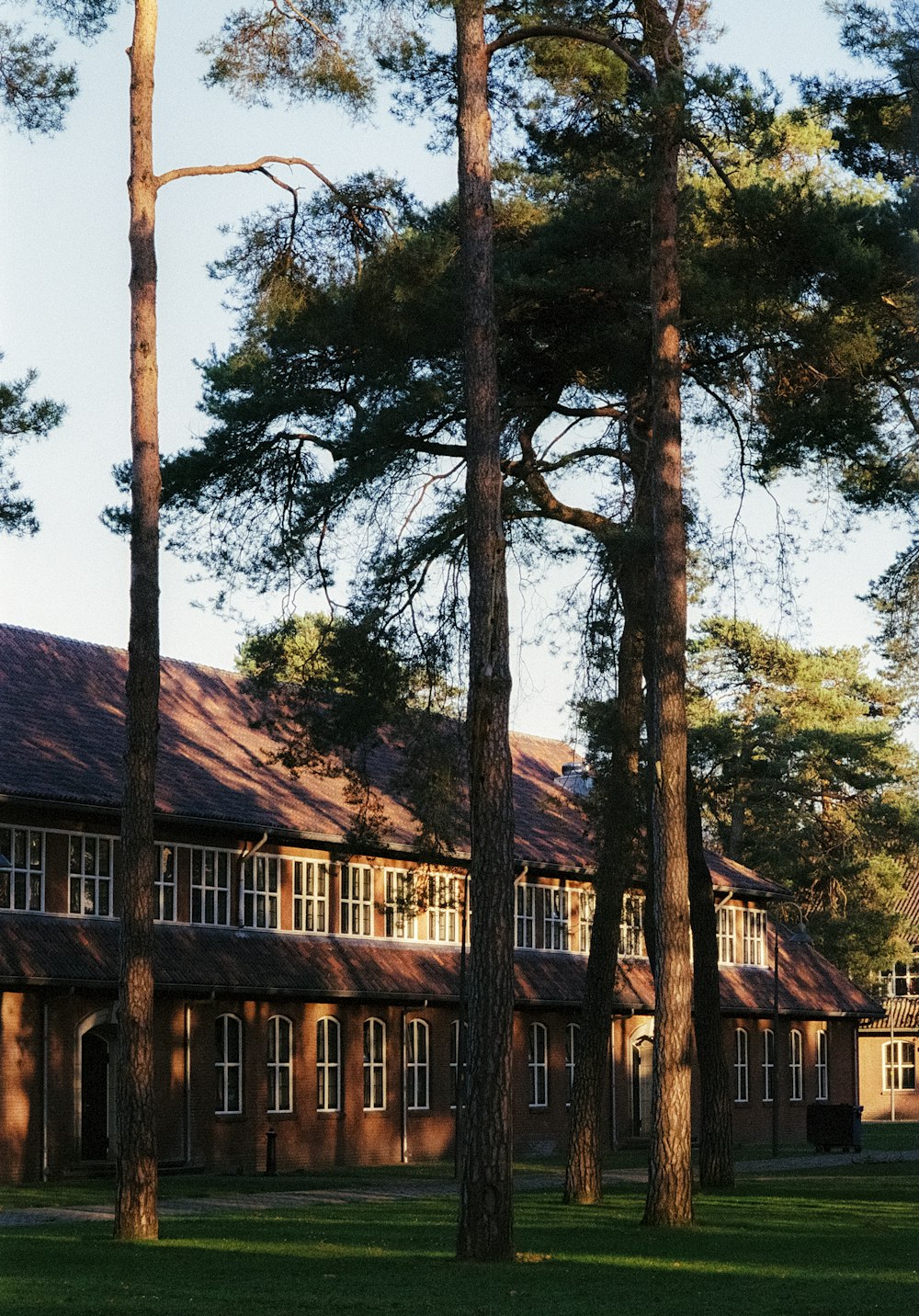 a large brown building surrounded by tall trees