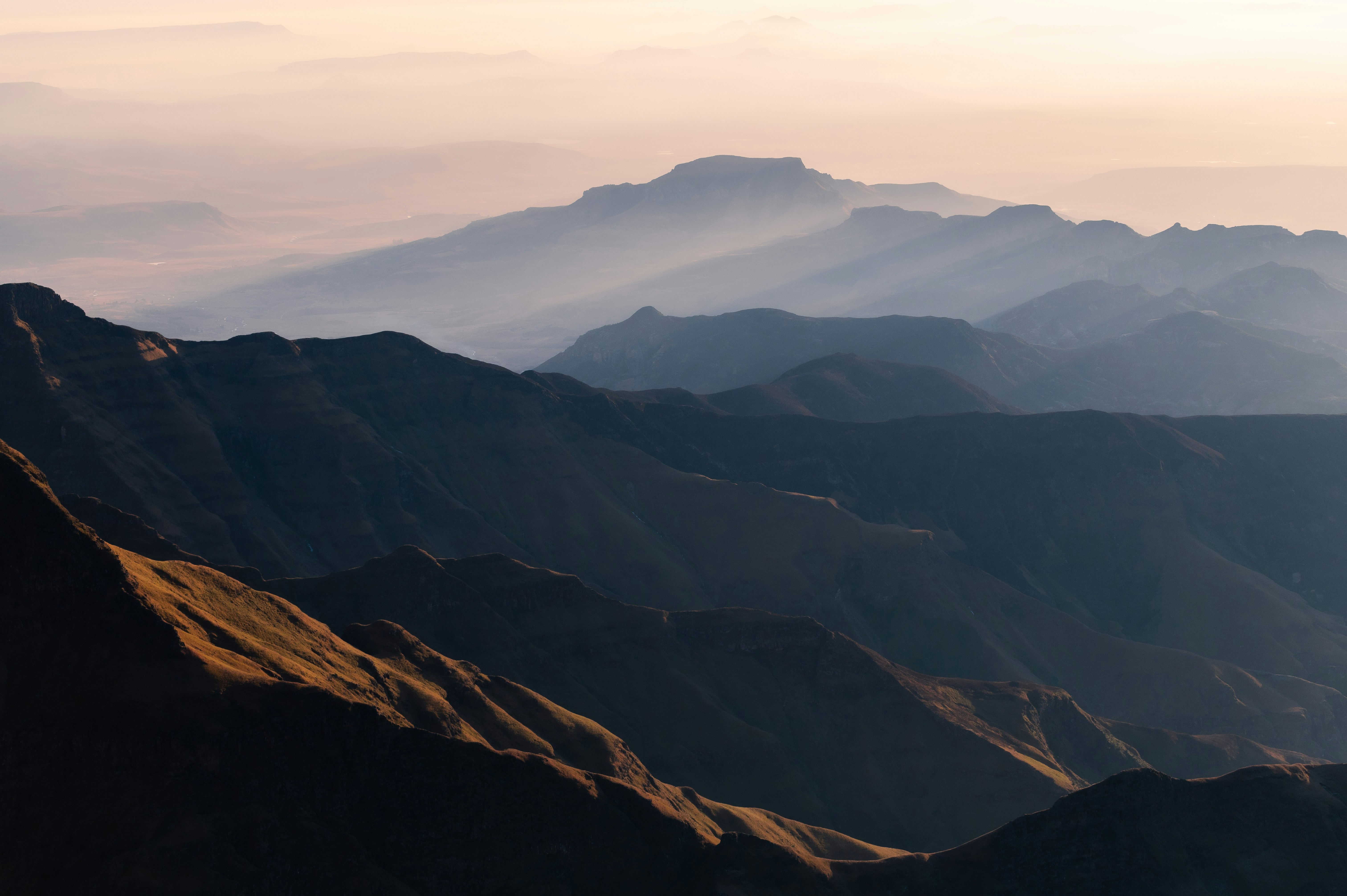 Photo by stephen_coetsee