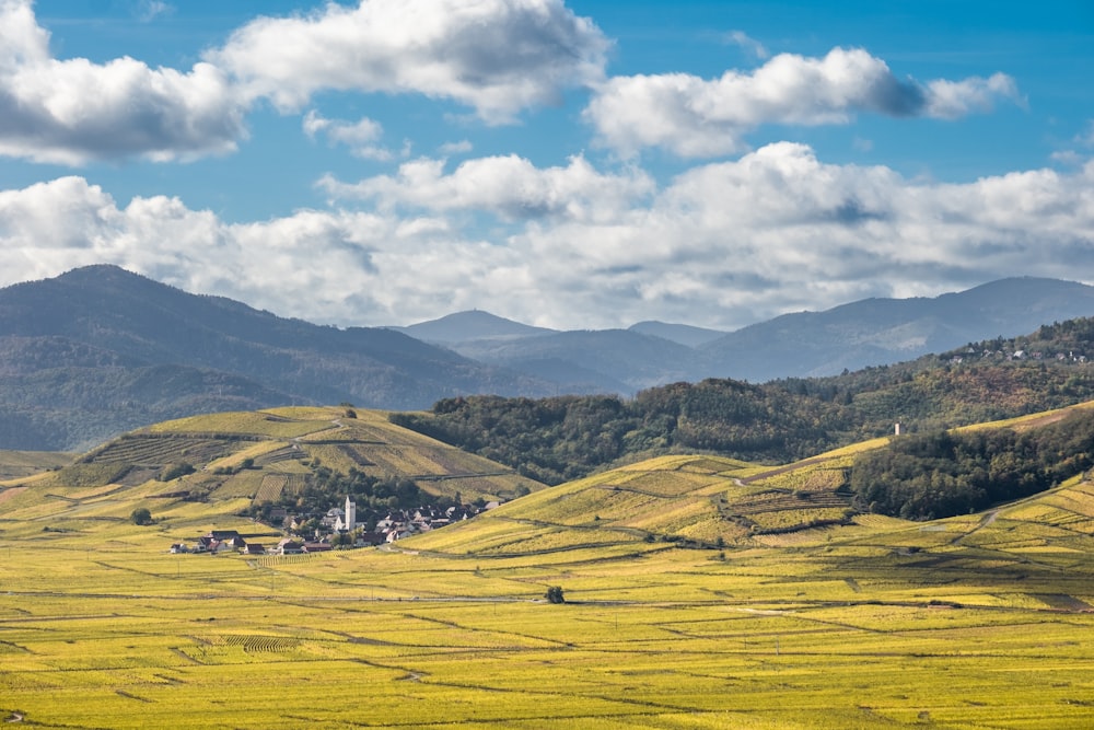 a field with mountains in the background