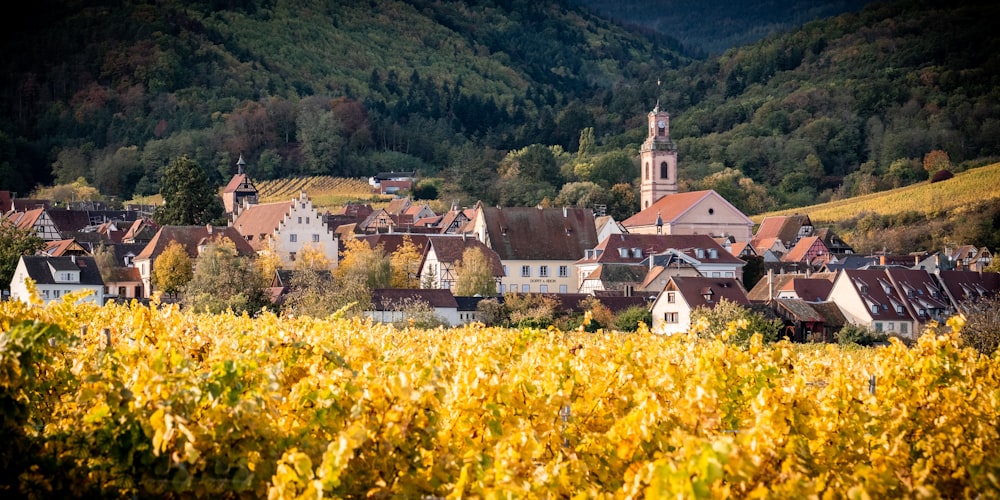 a small town surrounded by mountains and trees