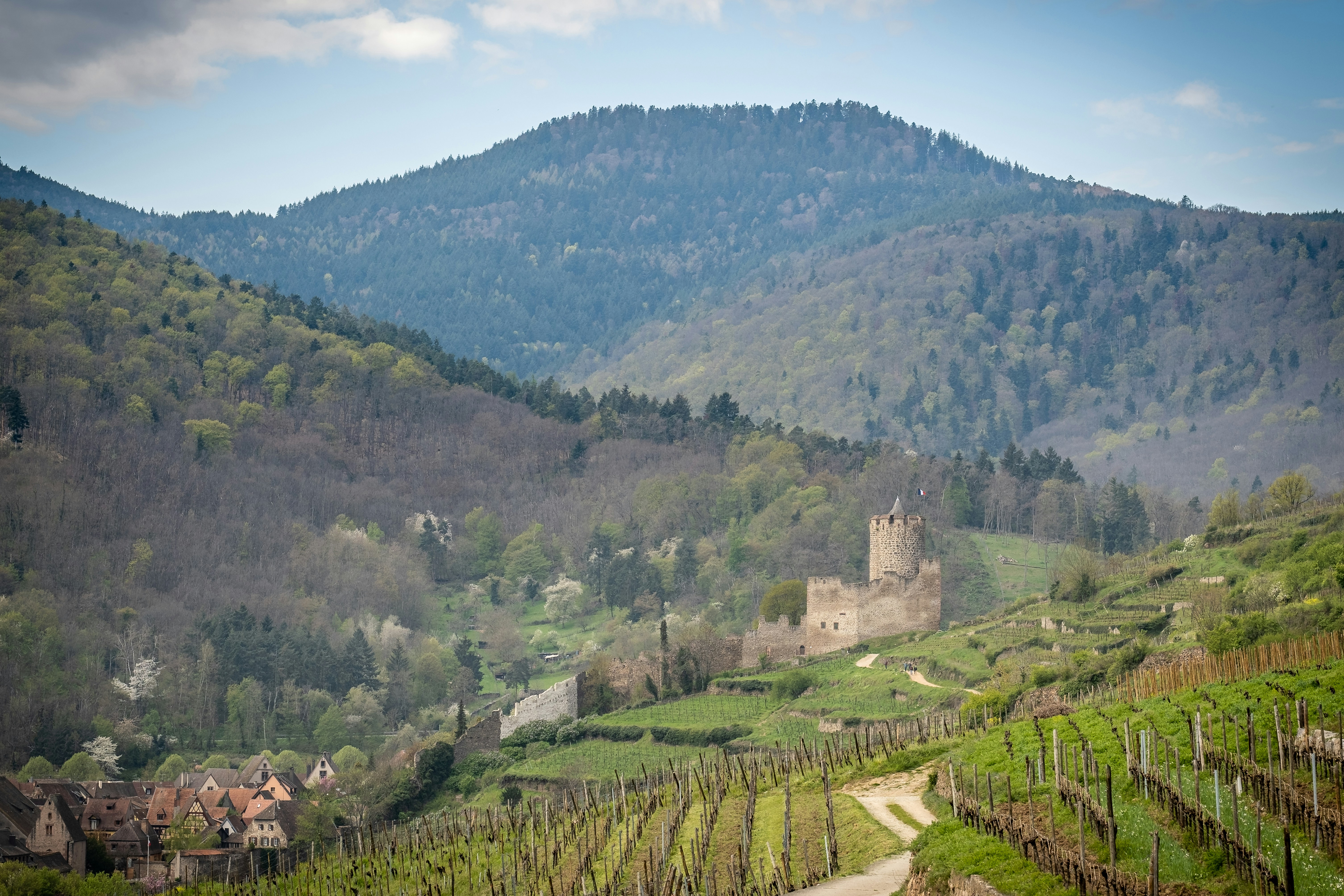 a scenic view of a small village in the mountains, Kaysersberg Castle, Alsace