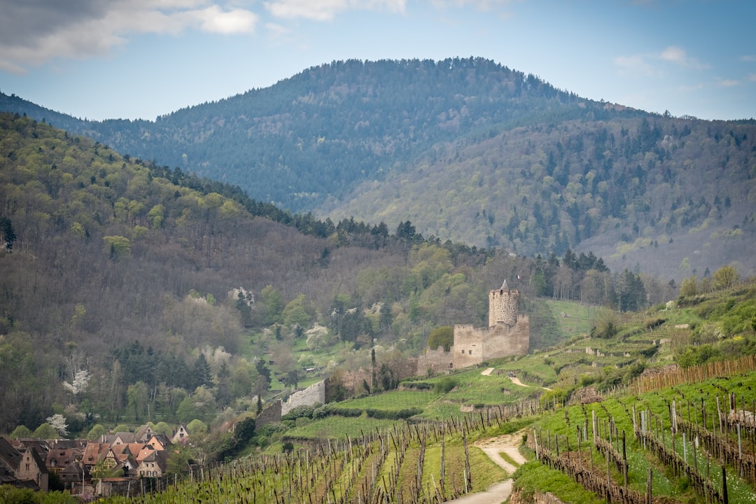 8 Hidden Gems Scenic and Affordable