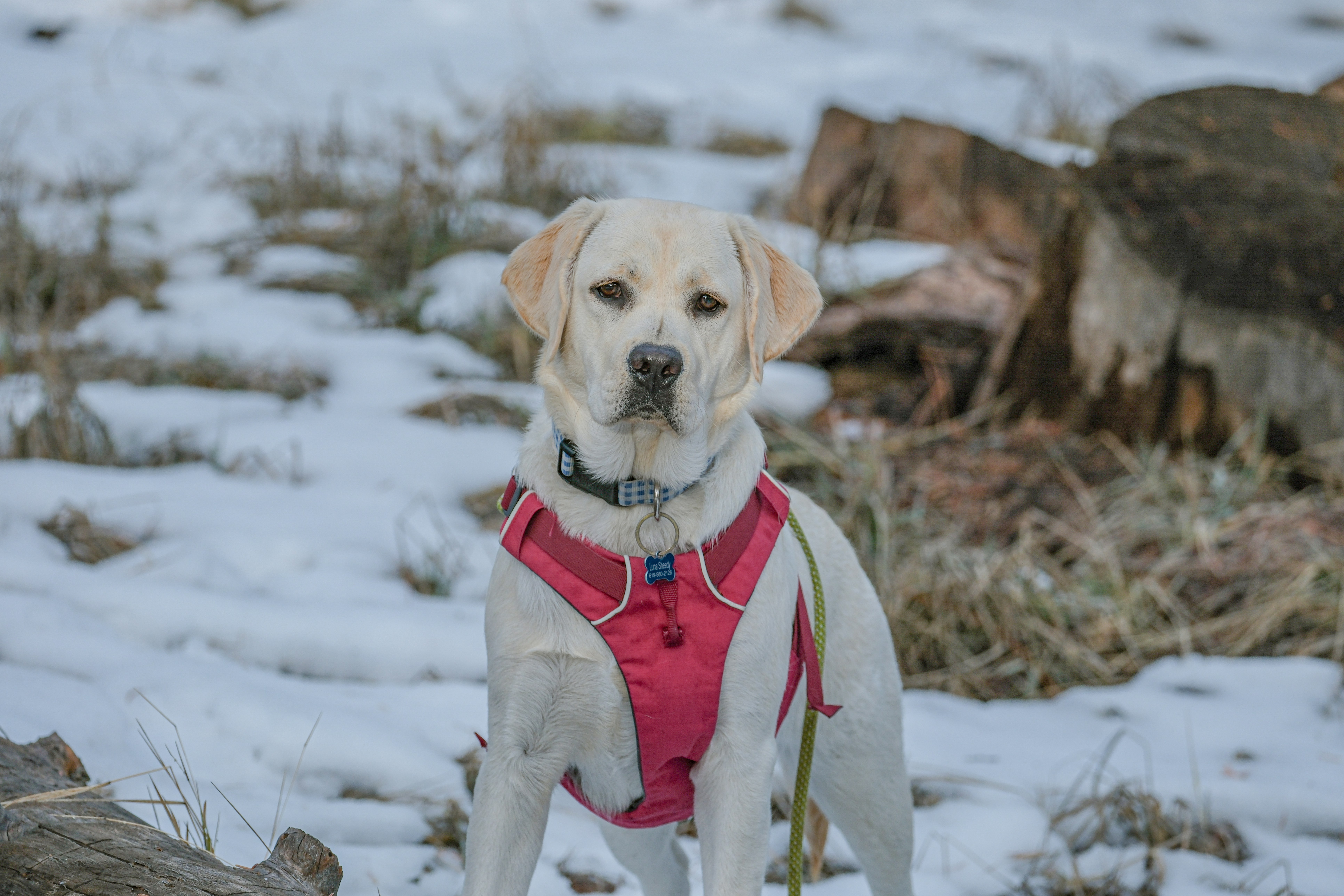 Photo by cestmoisheedy