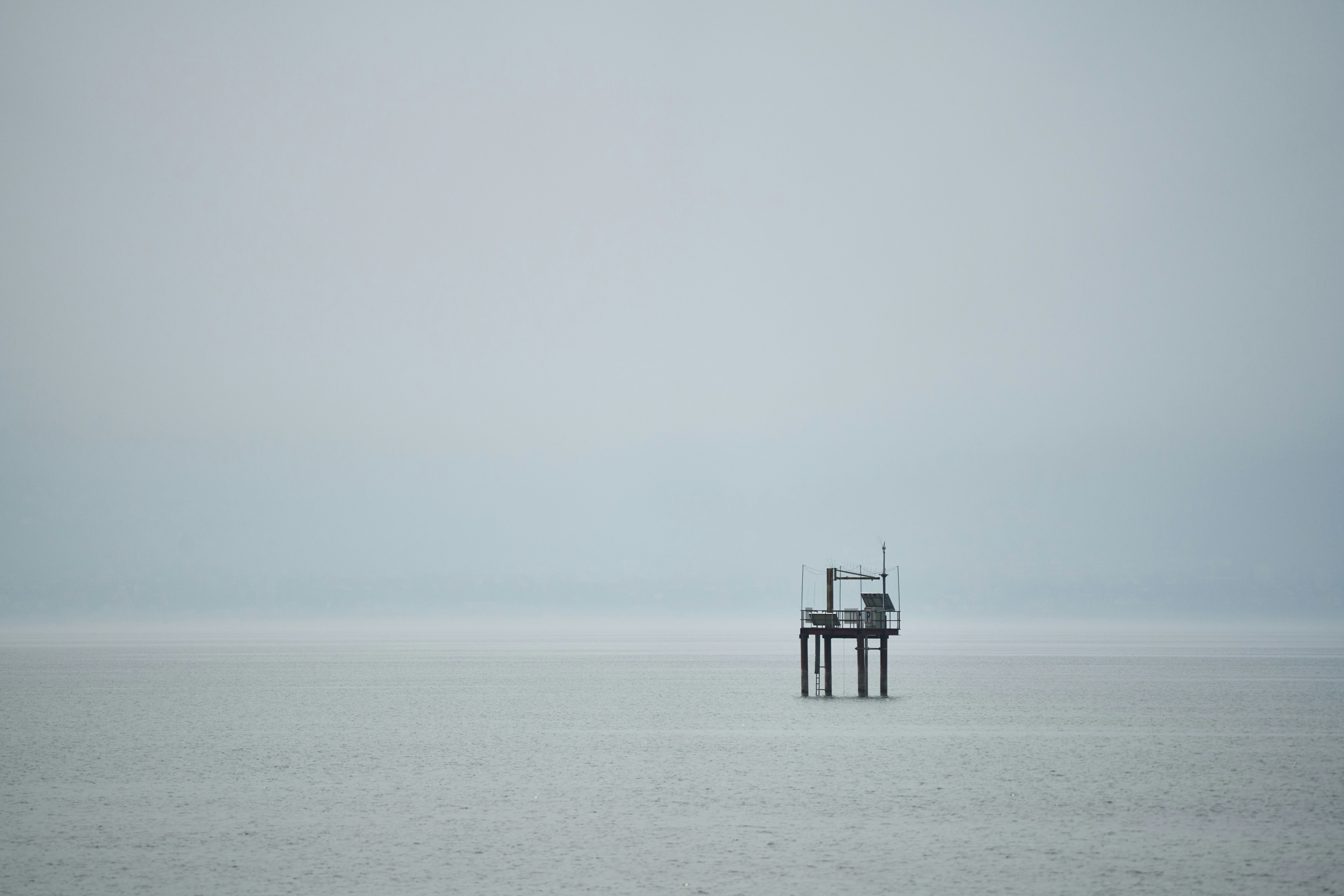 Photo by wolfgang_hasselmann