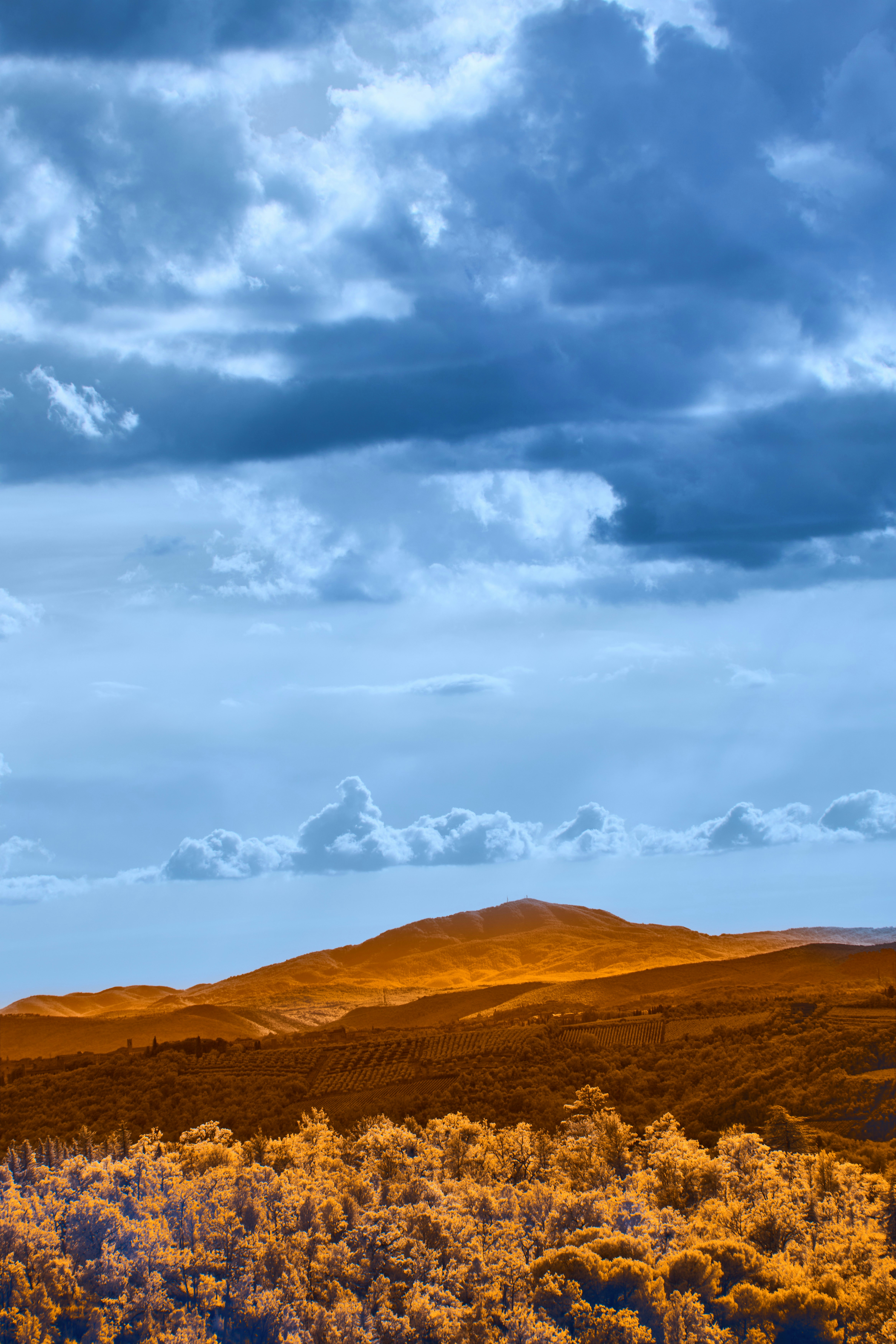 Photo by wolfgang_hasselmann