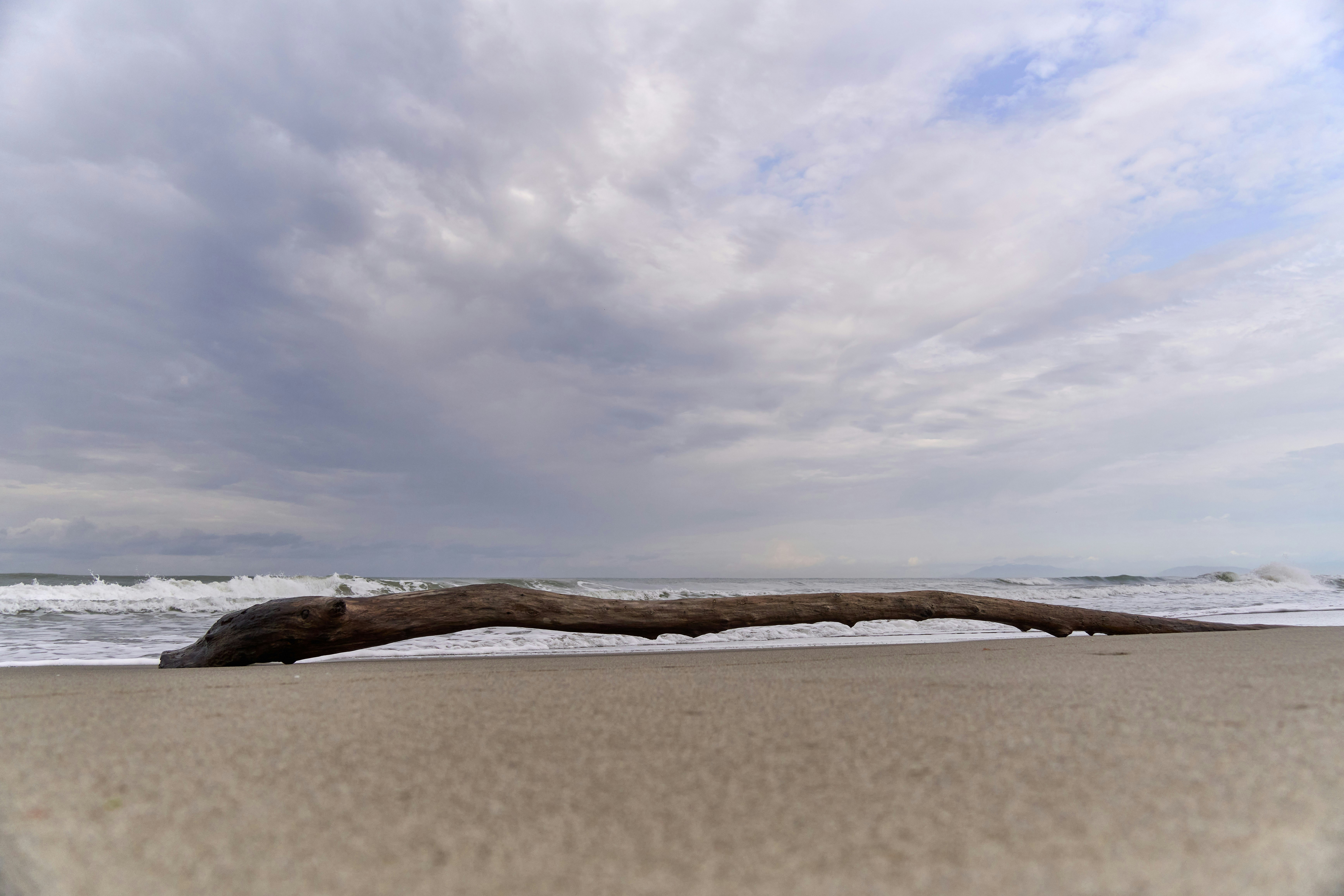 Photo by wolfgang_hasselmann