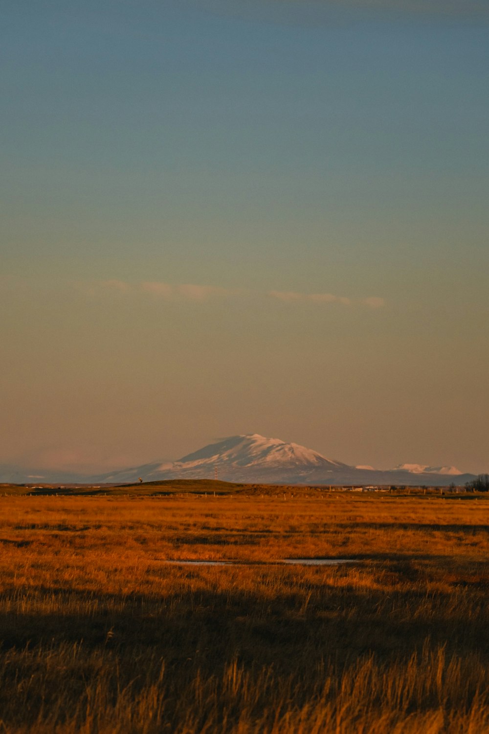 a field with a mountain in the distance