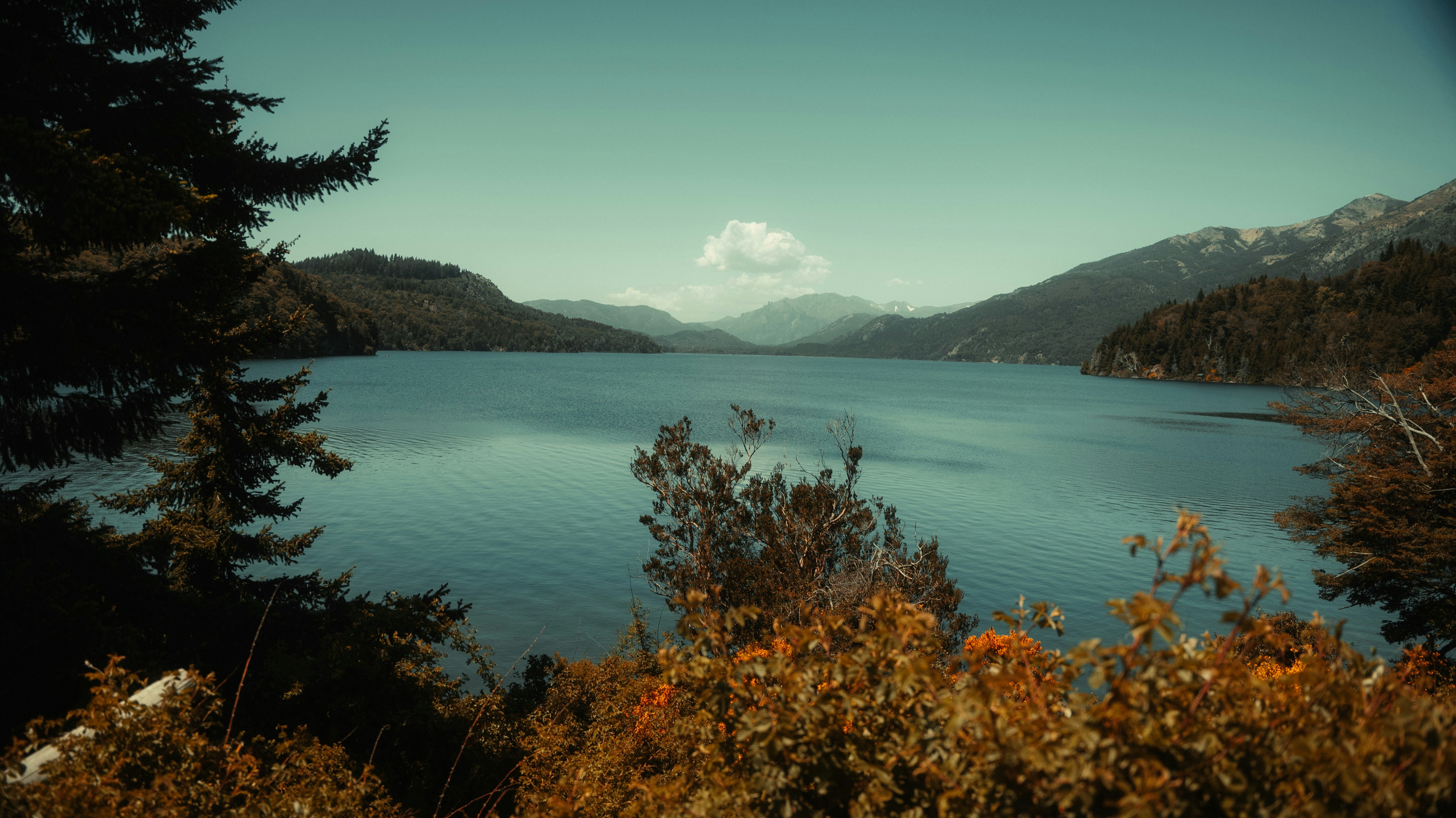 Photo by bryanbrittos