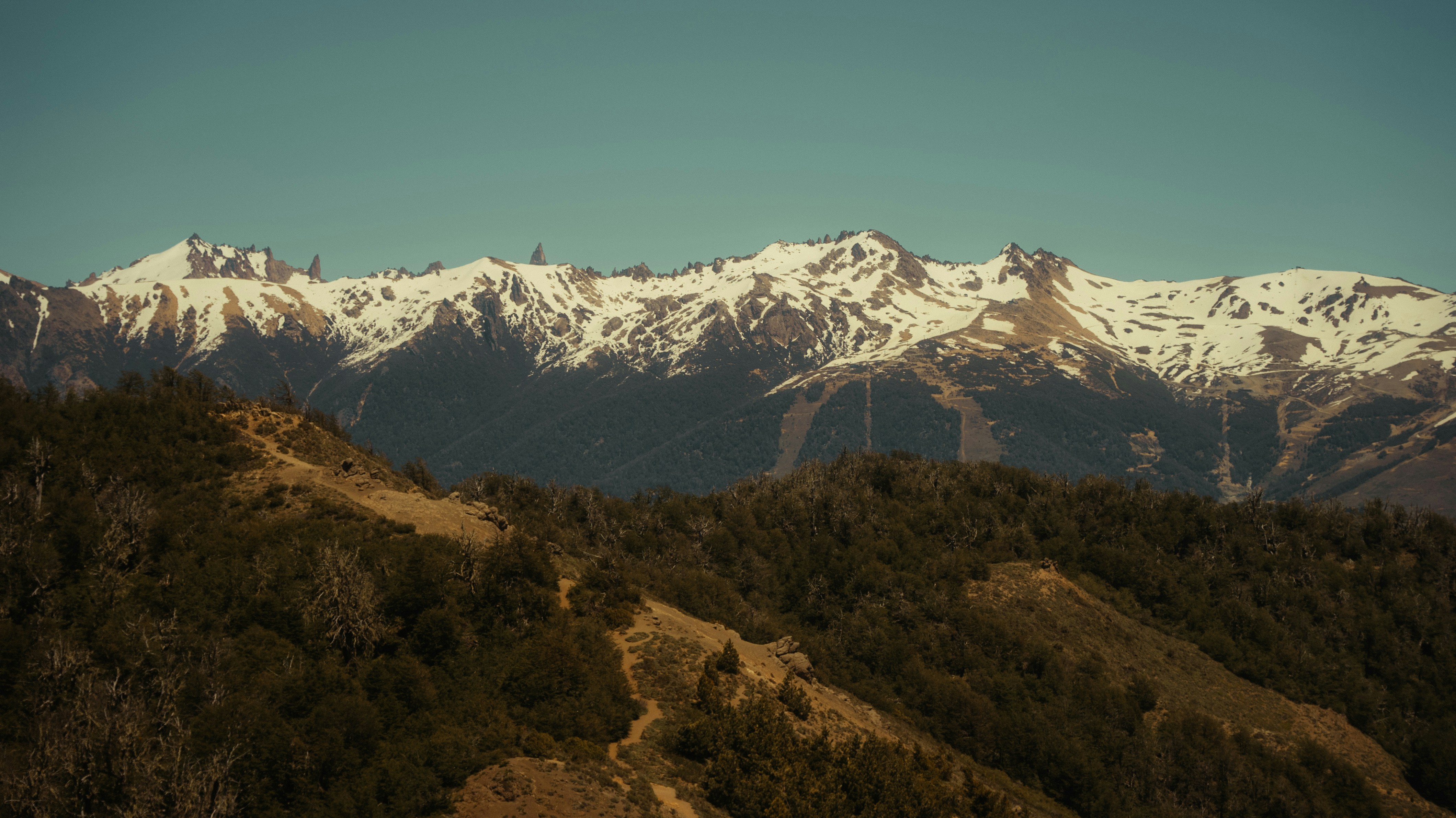 Photo by bryanbrittos