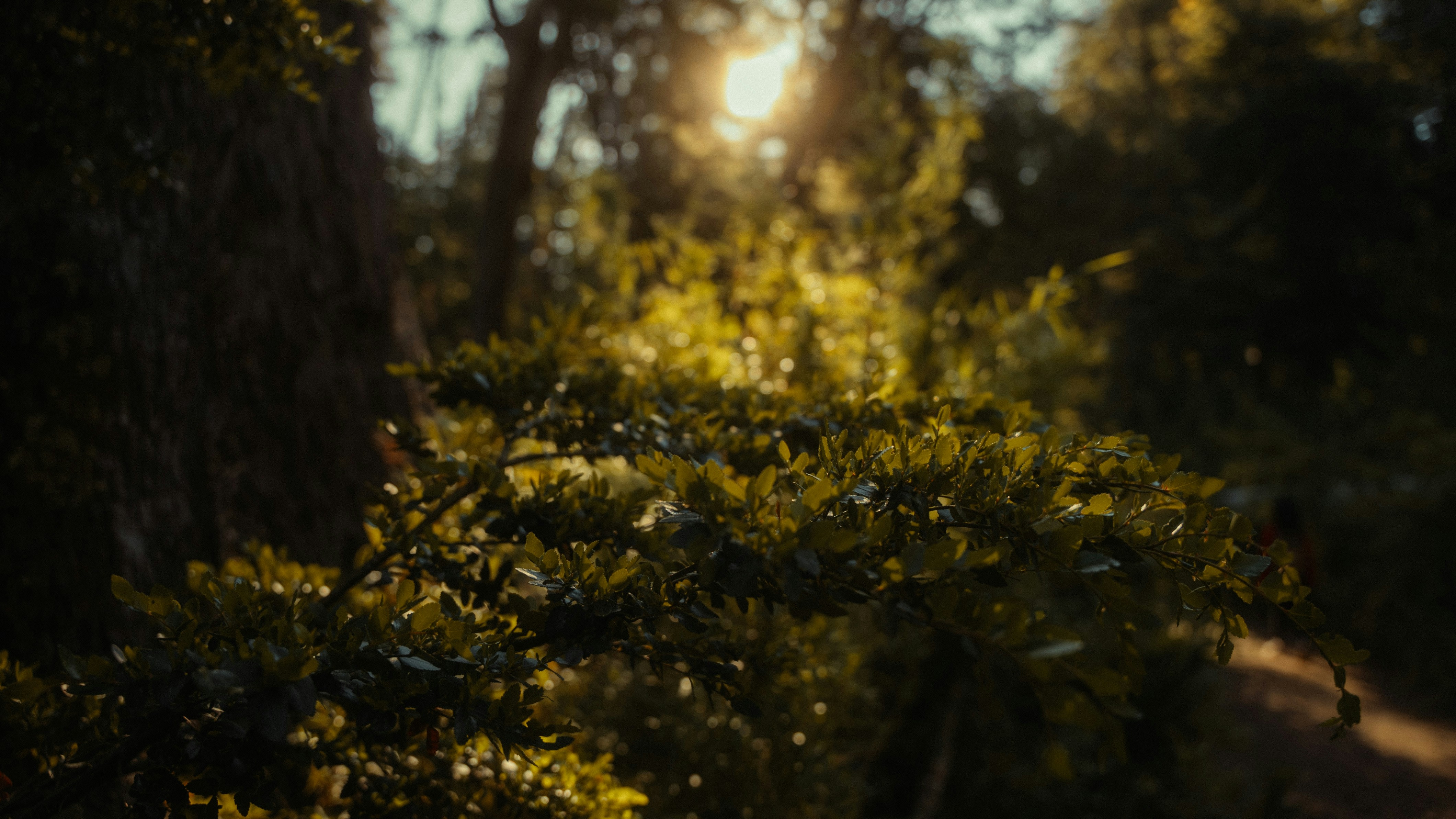 Photo by bryanbrittos