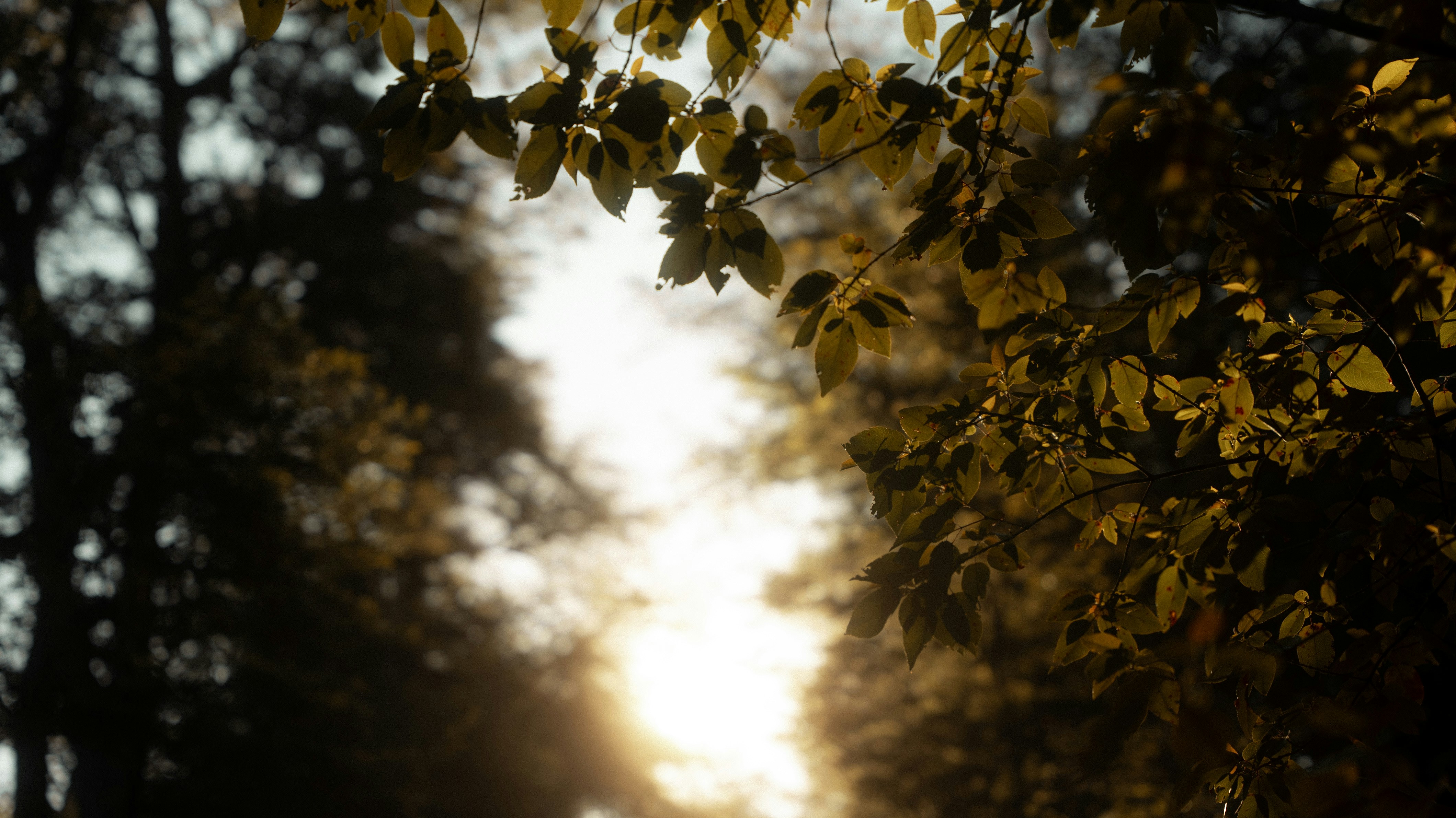 Photo by bryanbrittos